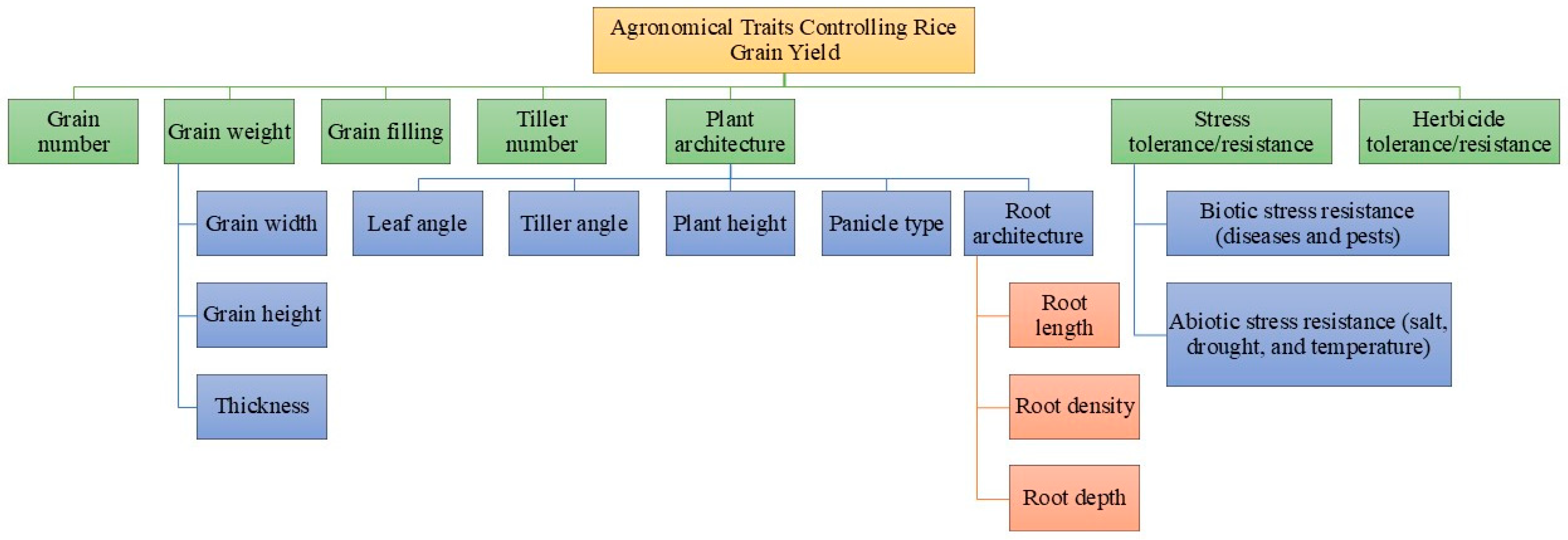 Plants 13 02972 g001