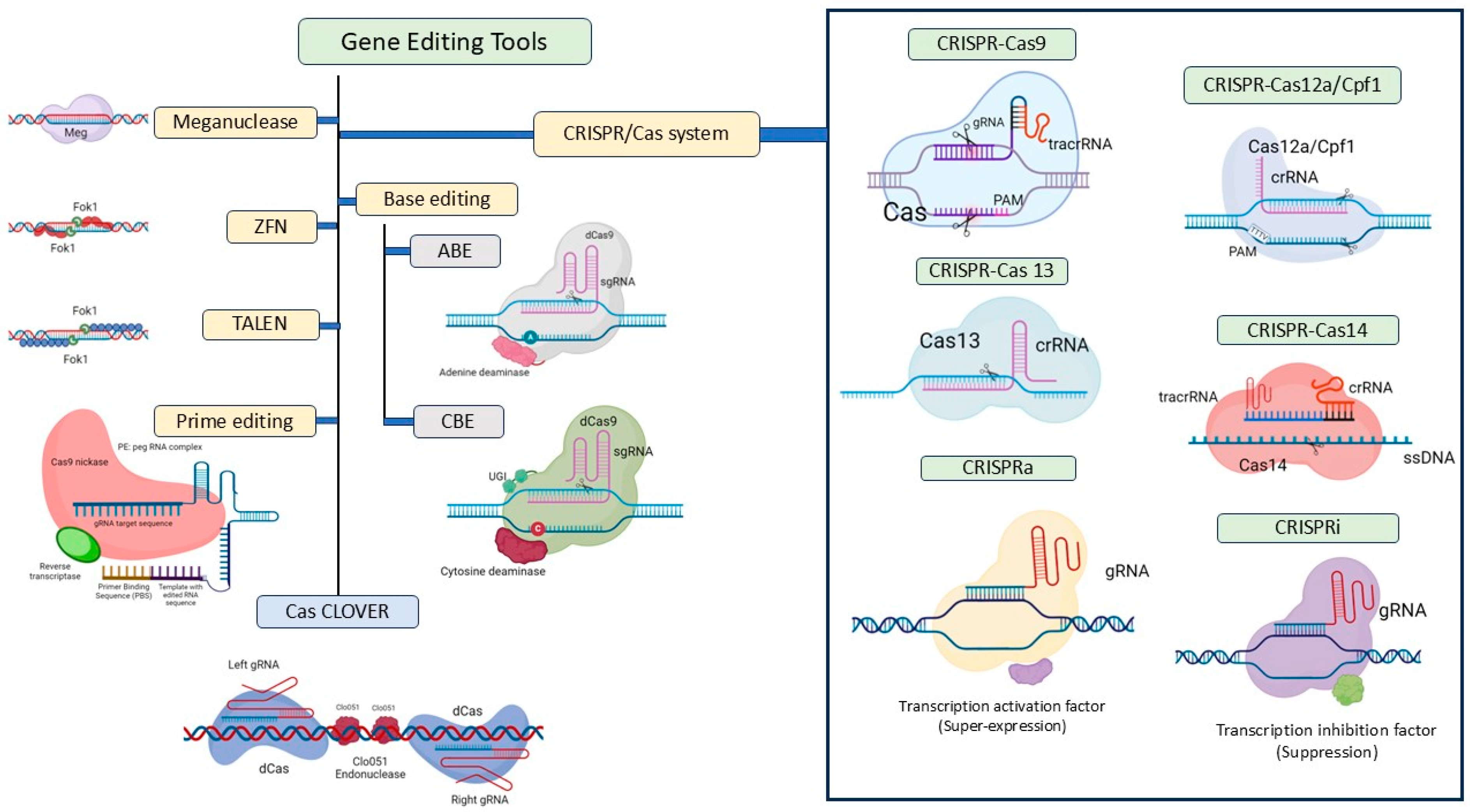 Plants 13 02972 g003