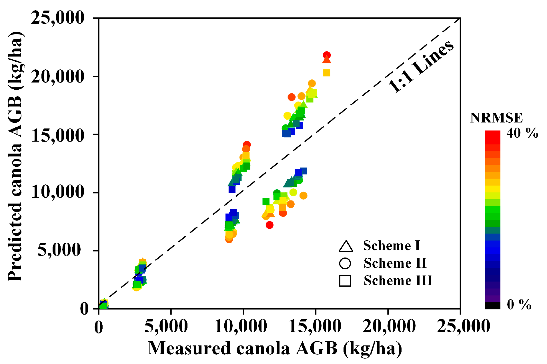 Plants 13 02978 g004