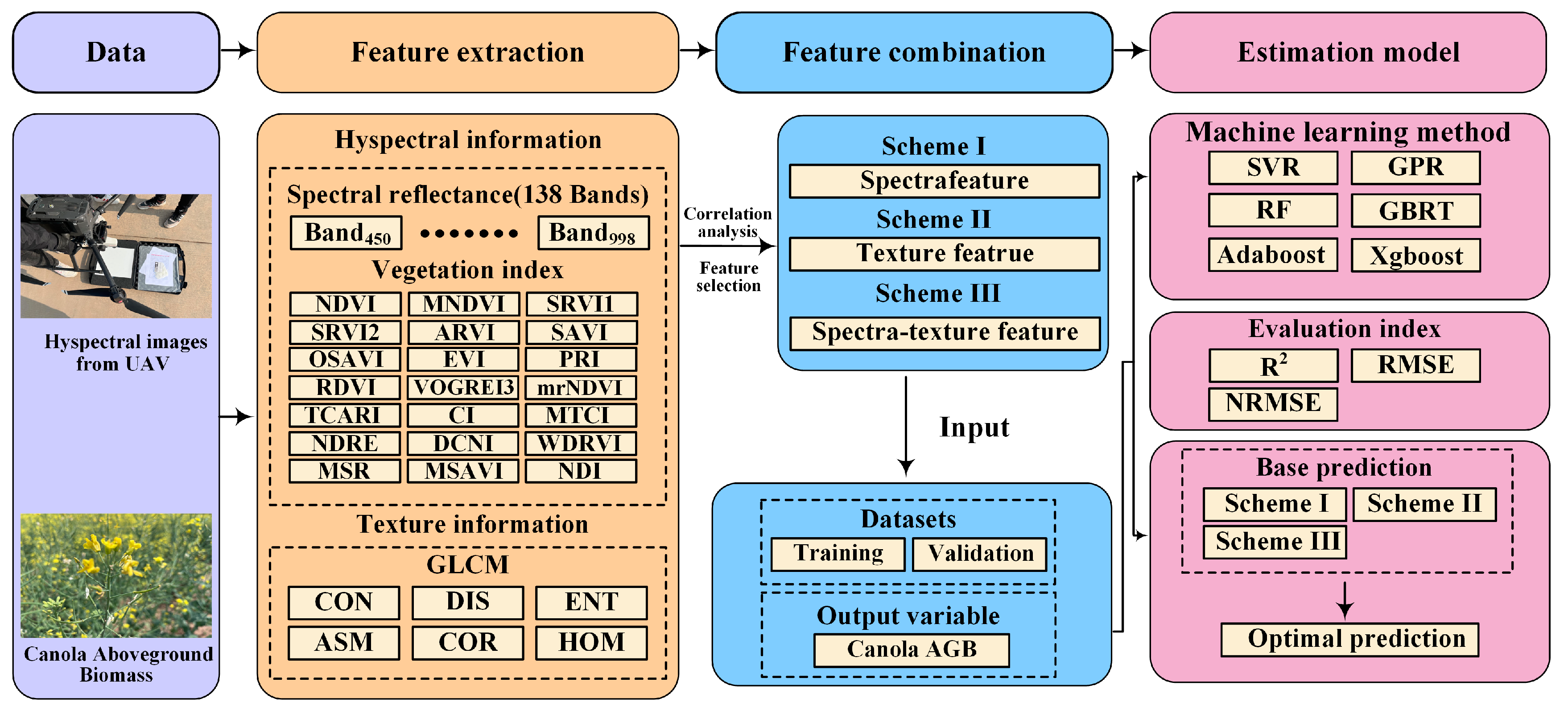 Plants 13 02978 g008