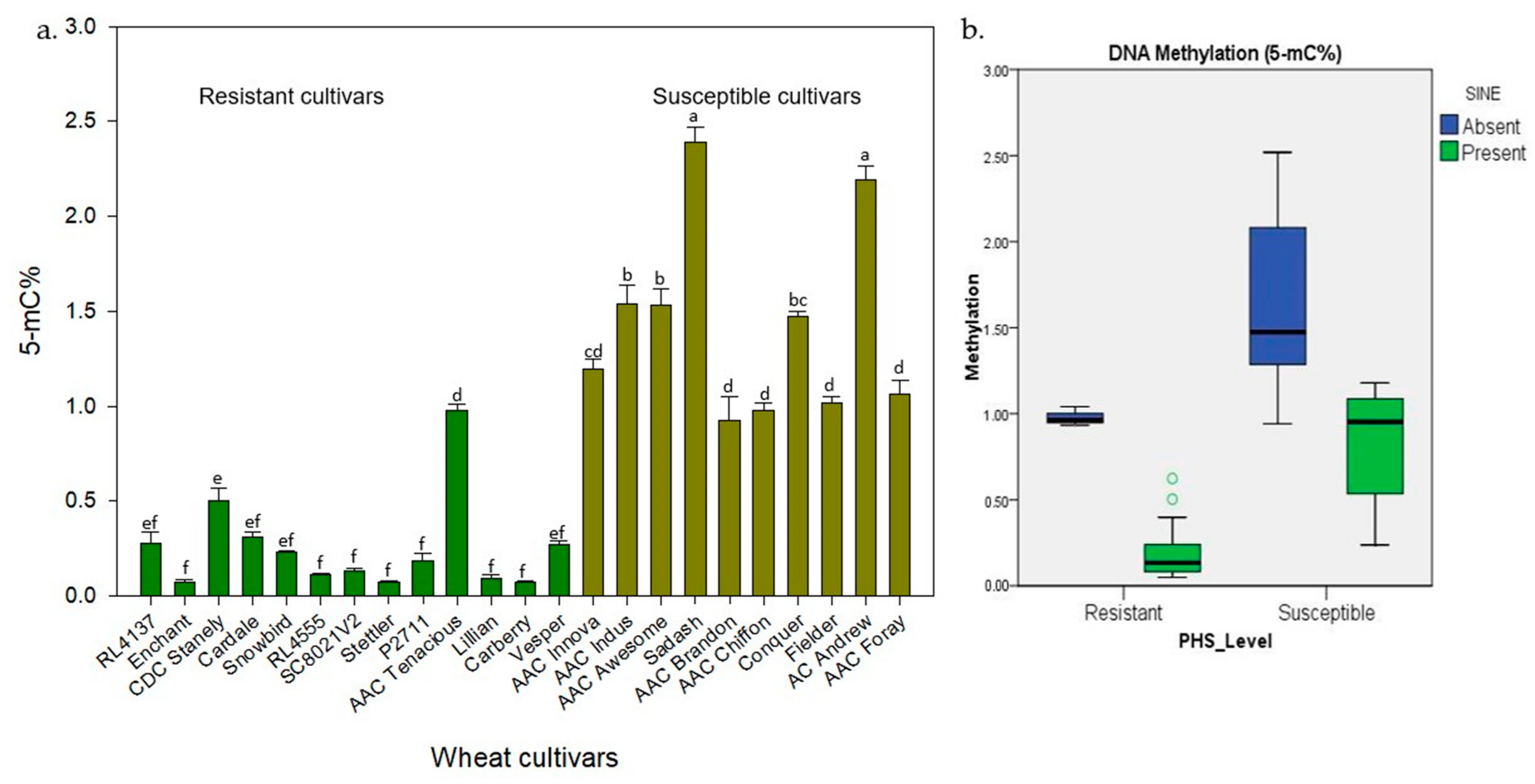 Plants 13 02981 g004