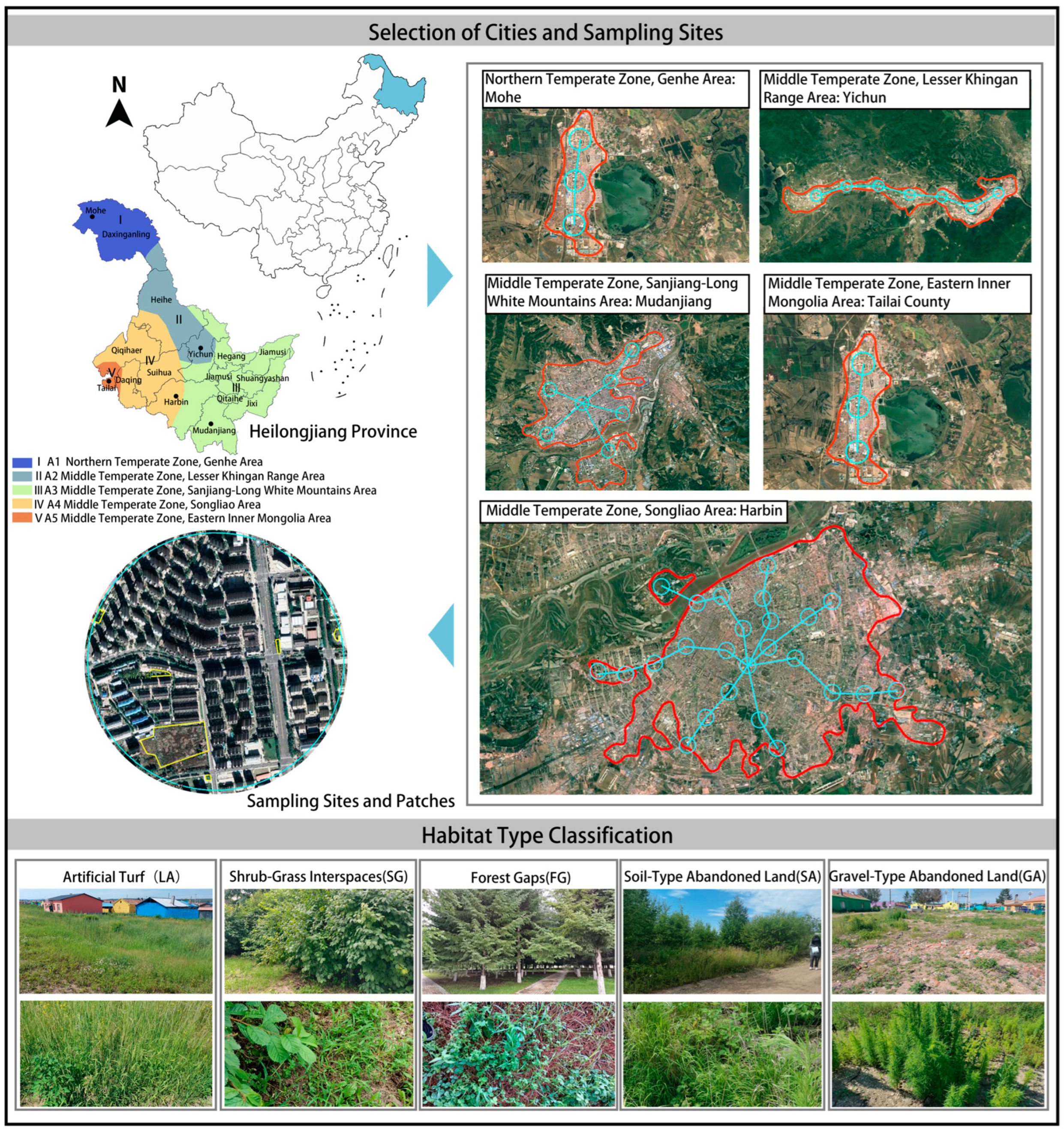 Plants 13 02982 g008