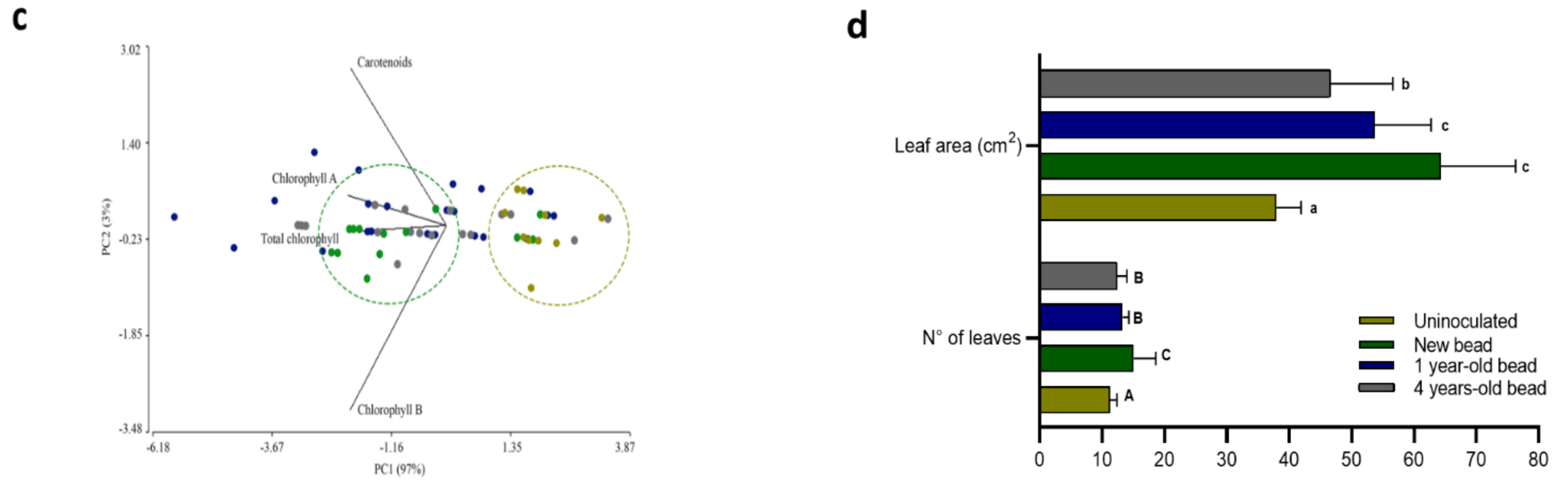 Plants 13 02983 g004b