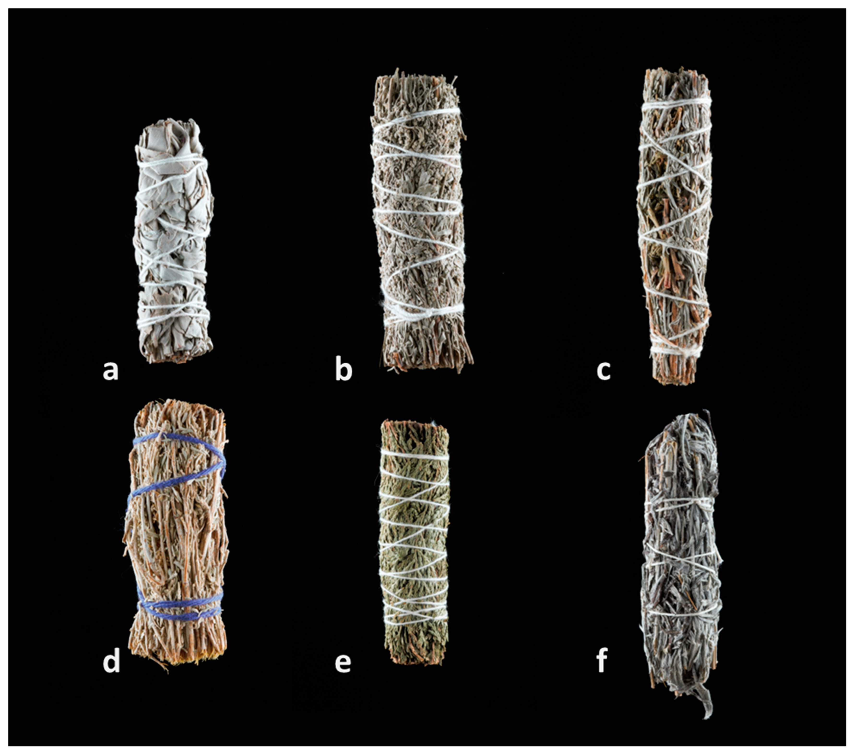 Plants 13 03003 g001