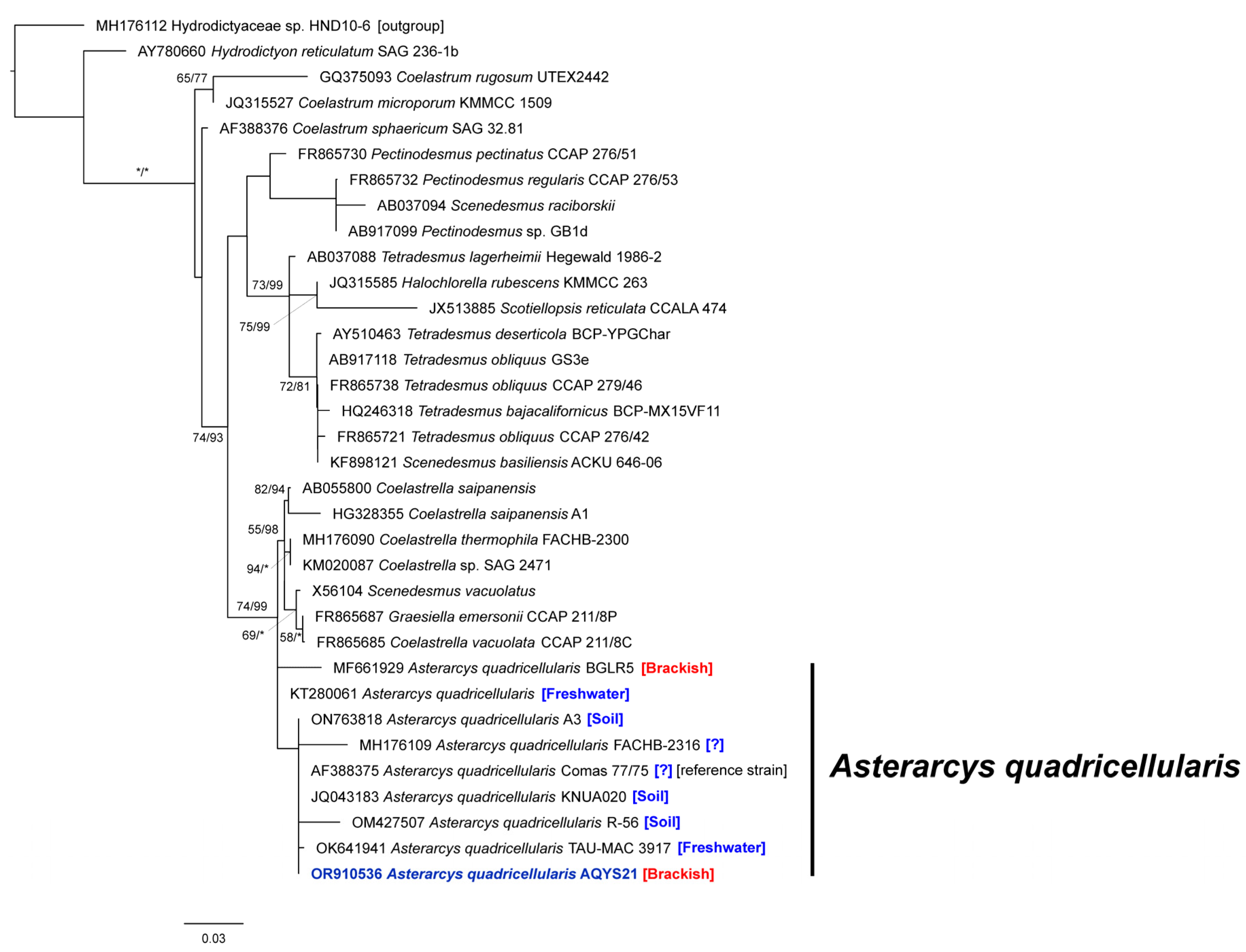 Plants 13 03008 g004 Plants 13 03008 g004