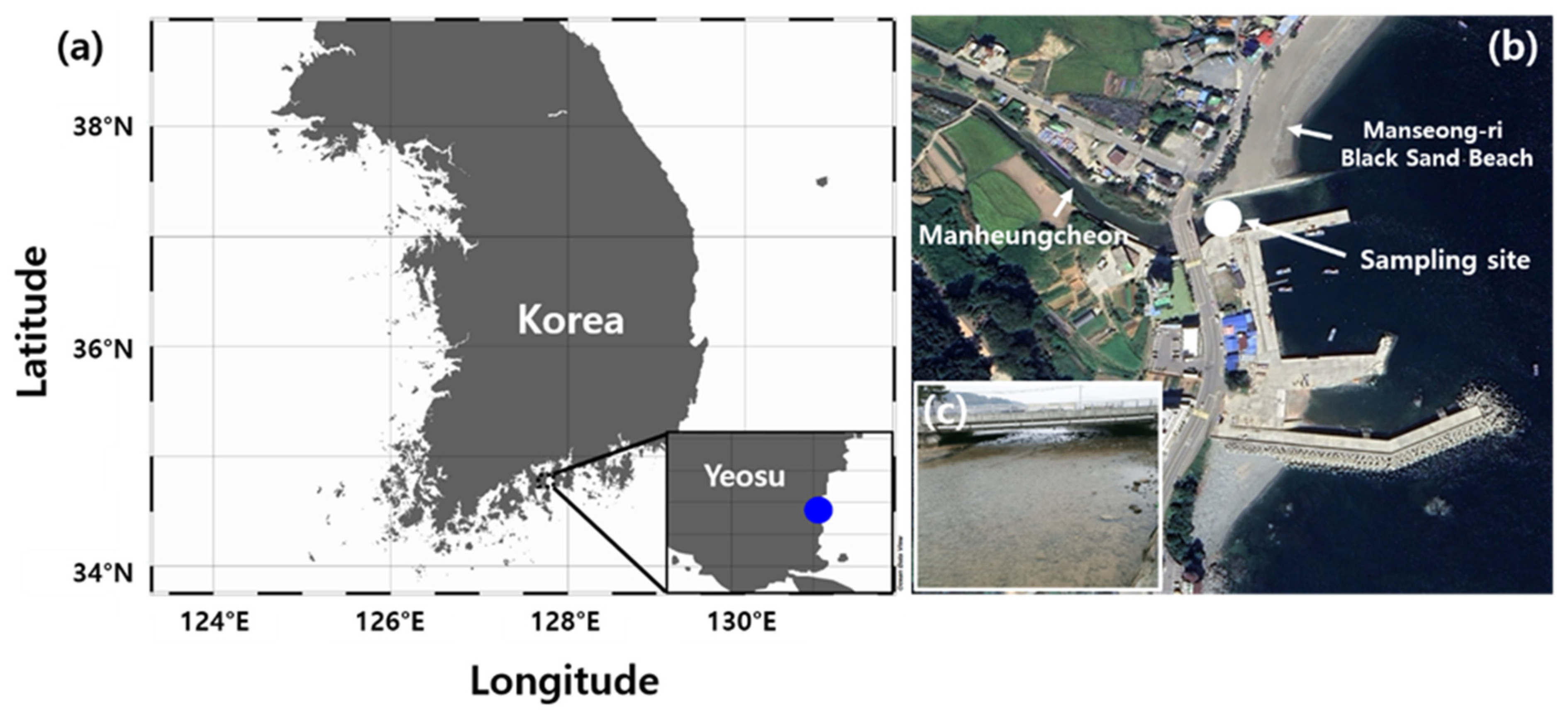 Plants 13 03008 g007 Plants 13 03008 g007