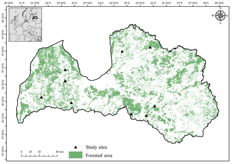 Plants 13 03019 g004 Plants 13 03019 g004