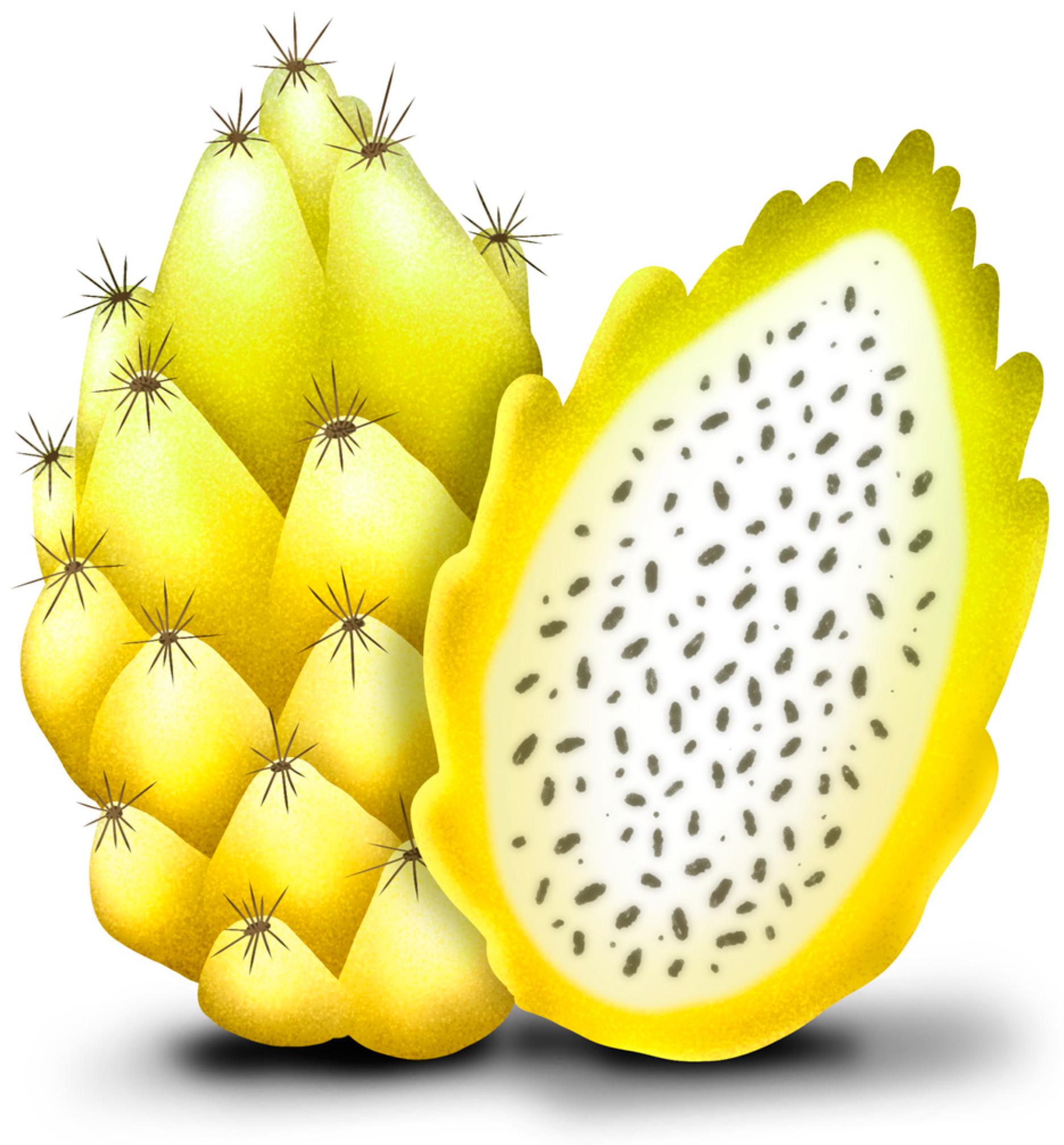 Plants 13 03020 g003