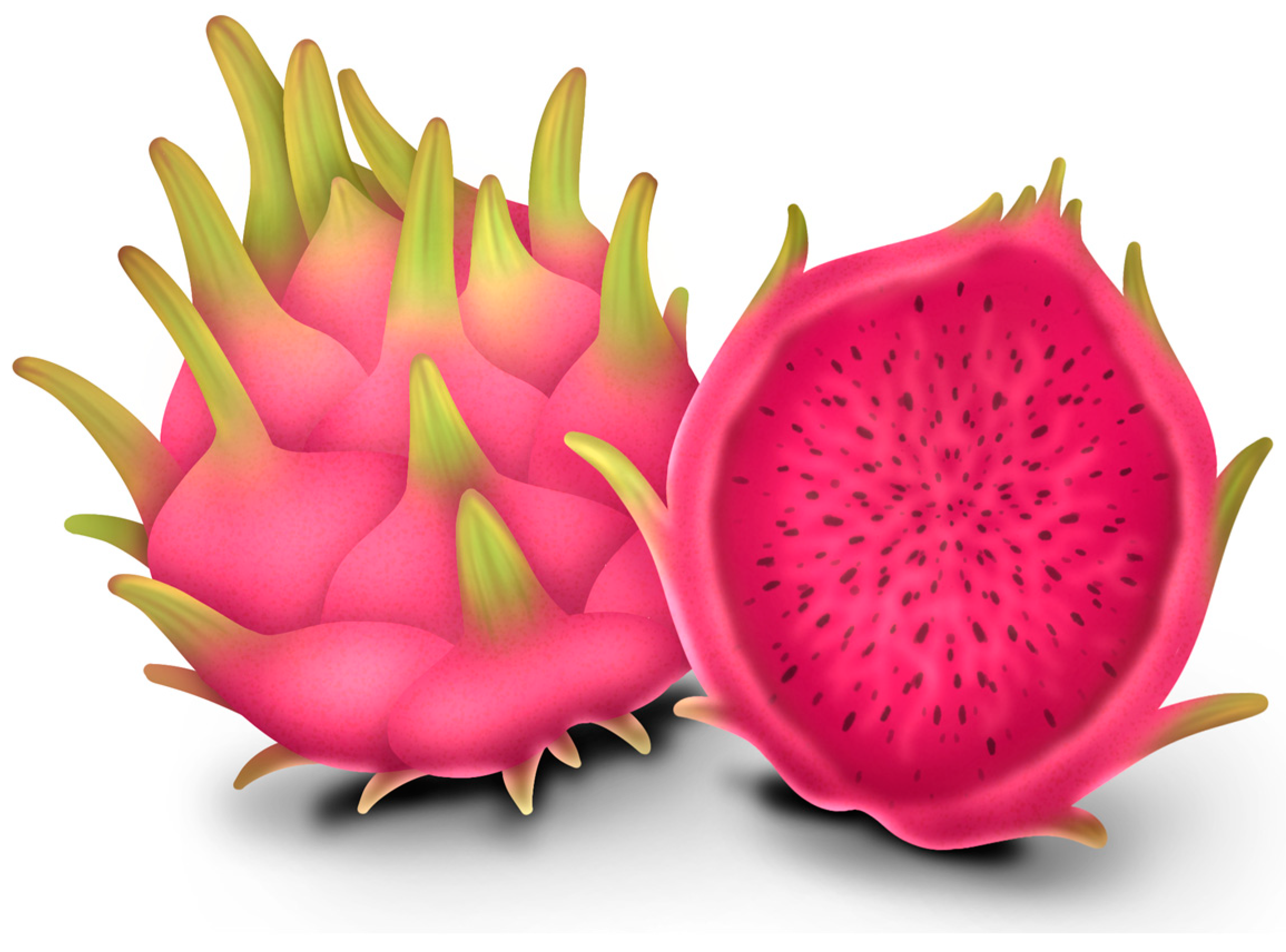 Plants 13 03020 g004