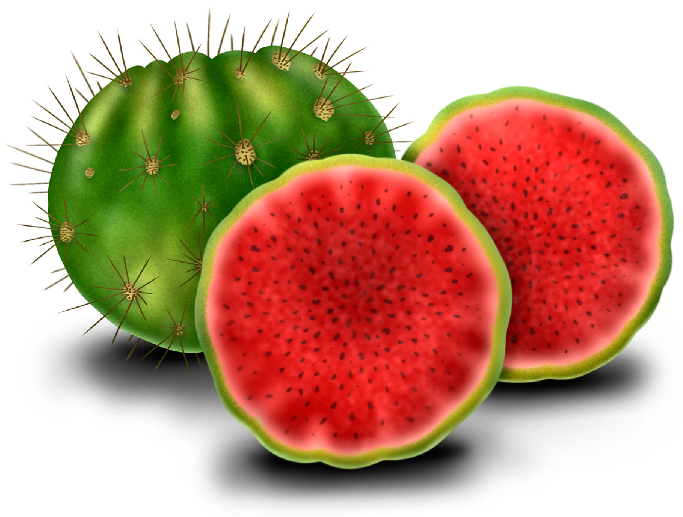 Plants 13 03020 g005