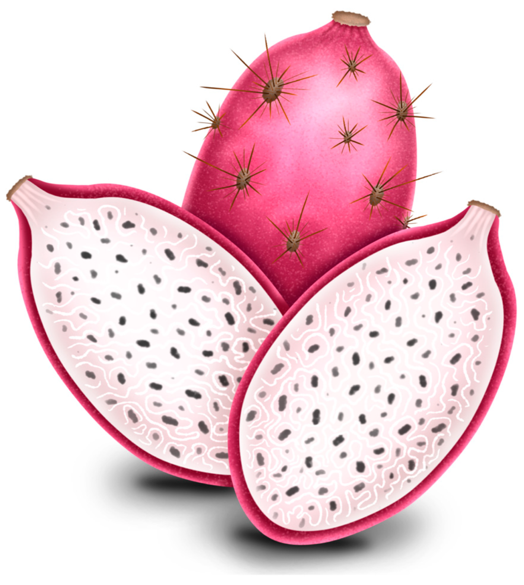 Plants 13 03020 g006