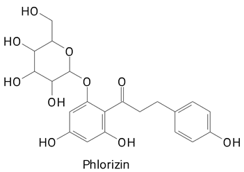 Plants 13 03020 i026