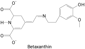 Plants 13 03020 i043