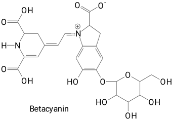 Plants 13 03020 i044