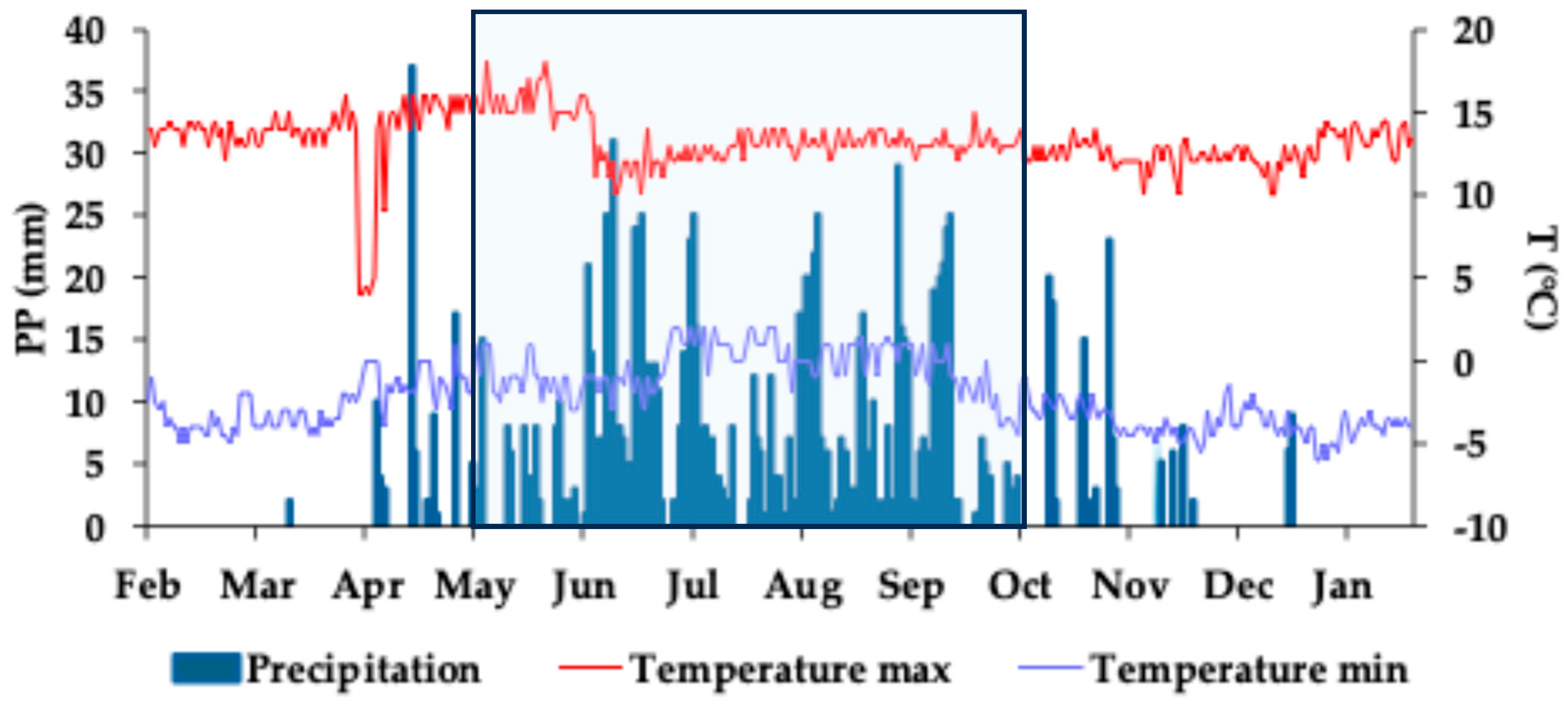 Plants 13 03021 g002