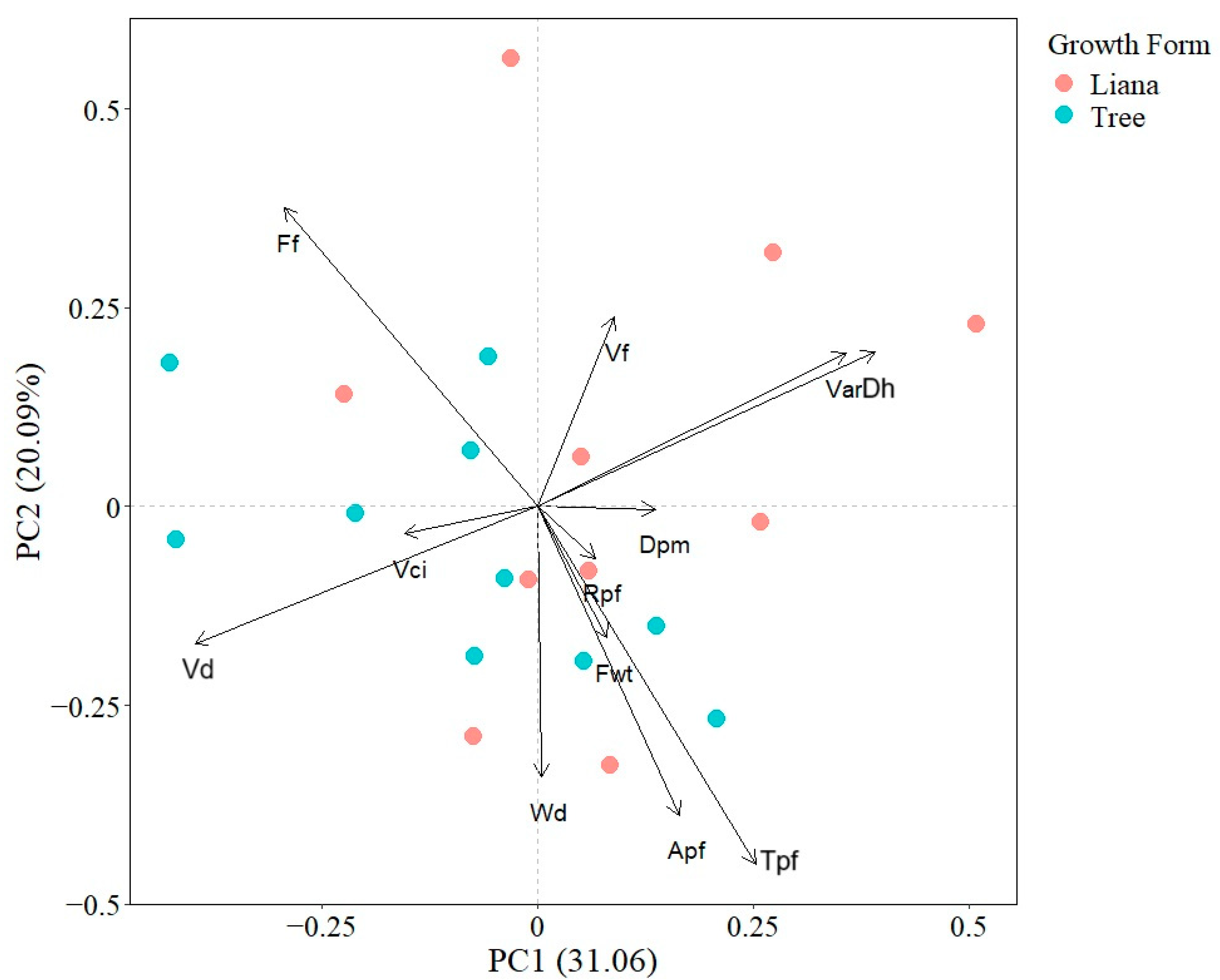 Plants 13 03023 g001