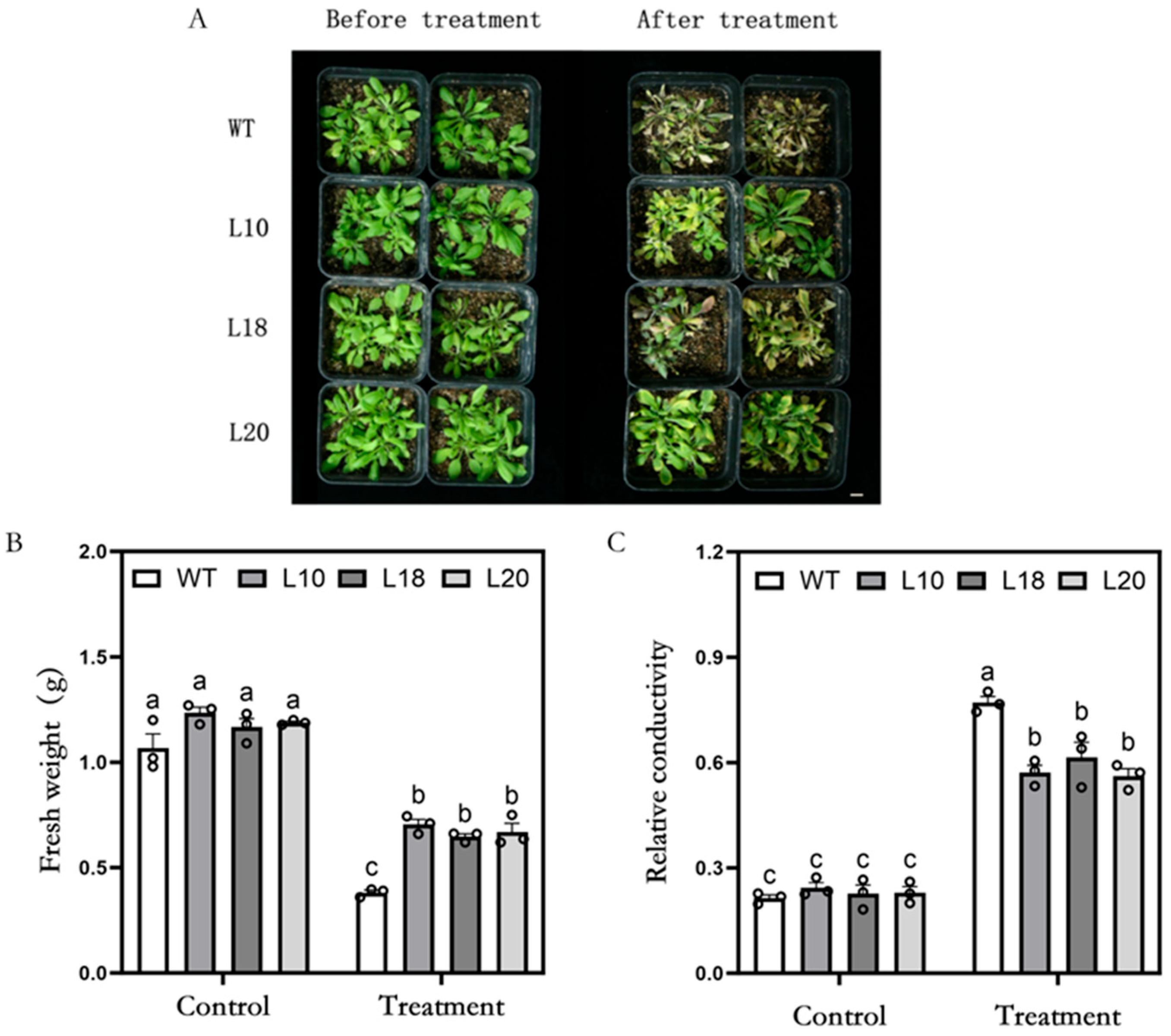 Plants 13 03025 g002