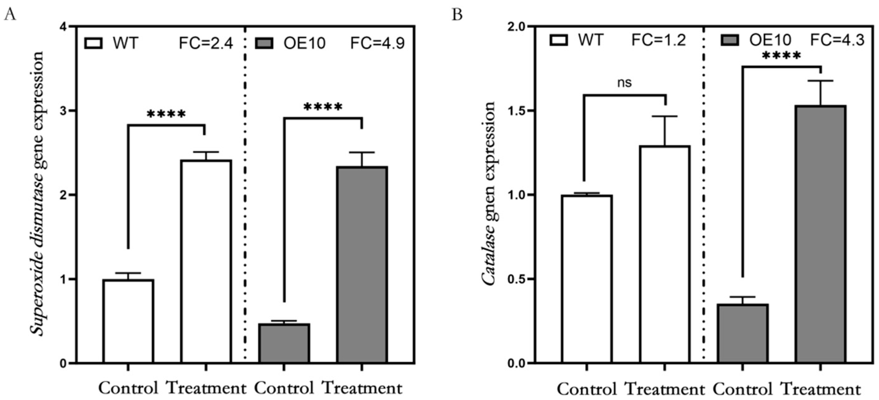 Plants 13 03025 g006