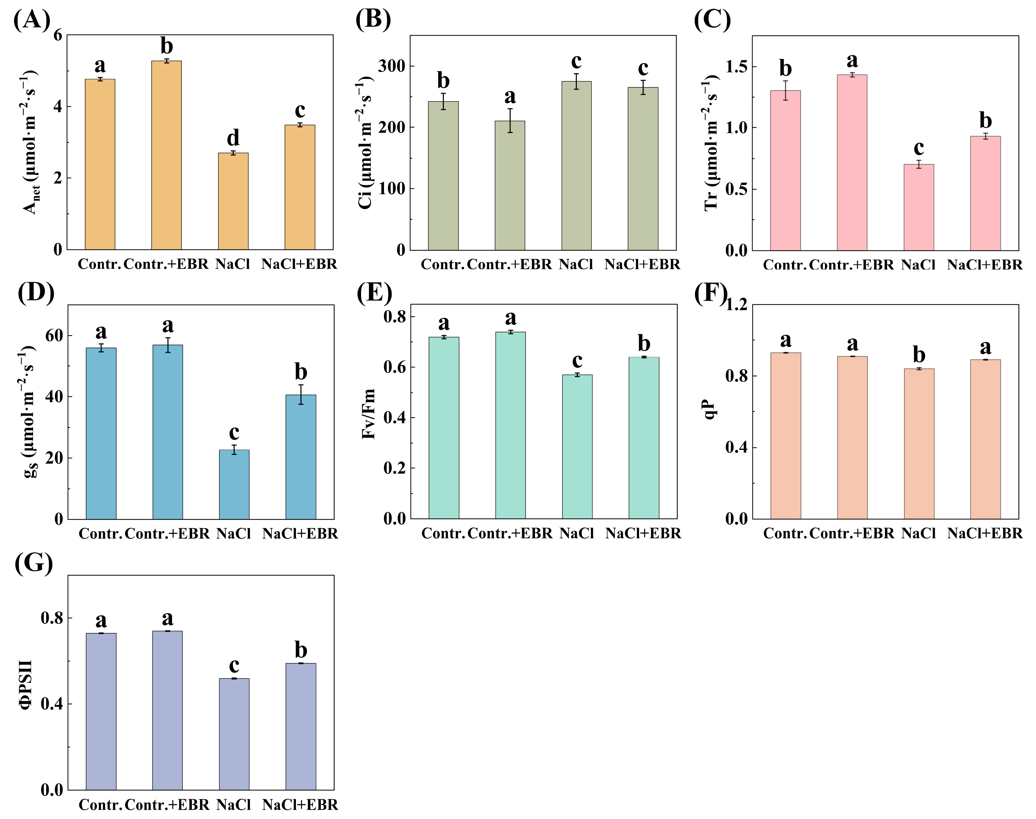 Plants 13 03029 g003
