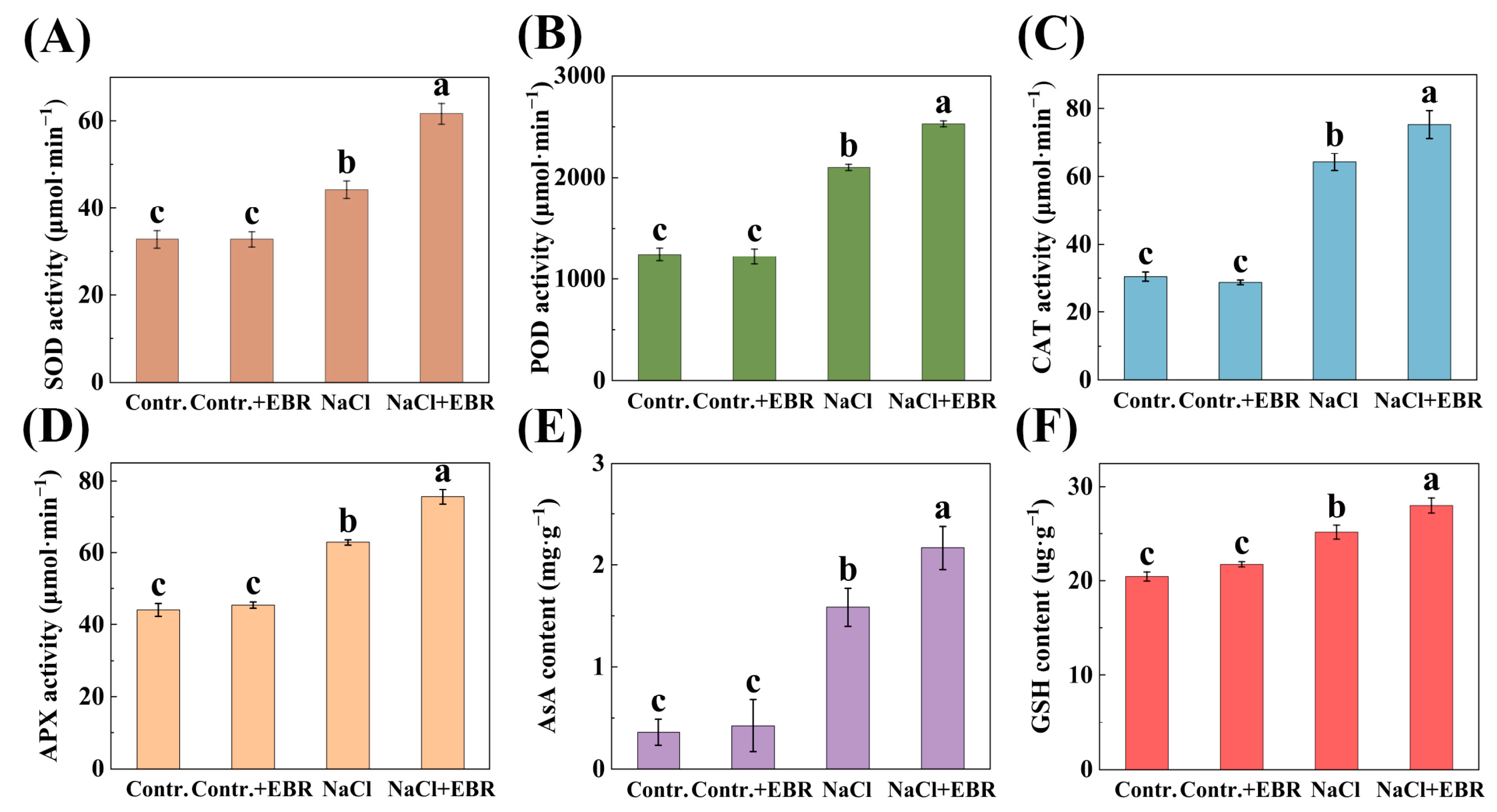 Plants 13 03029 g005