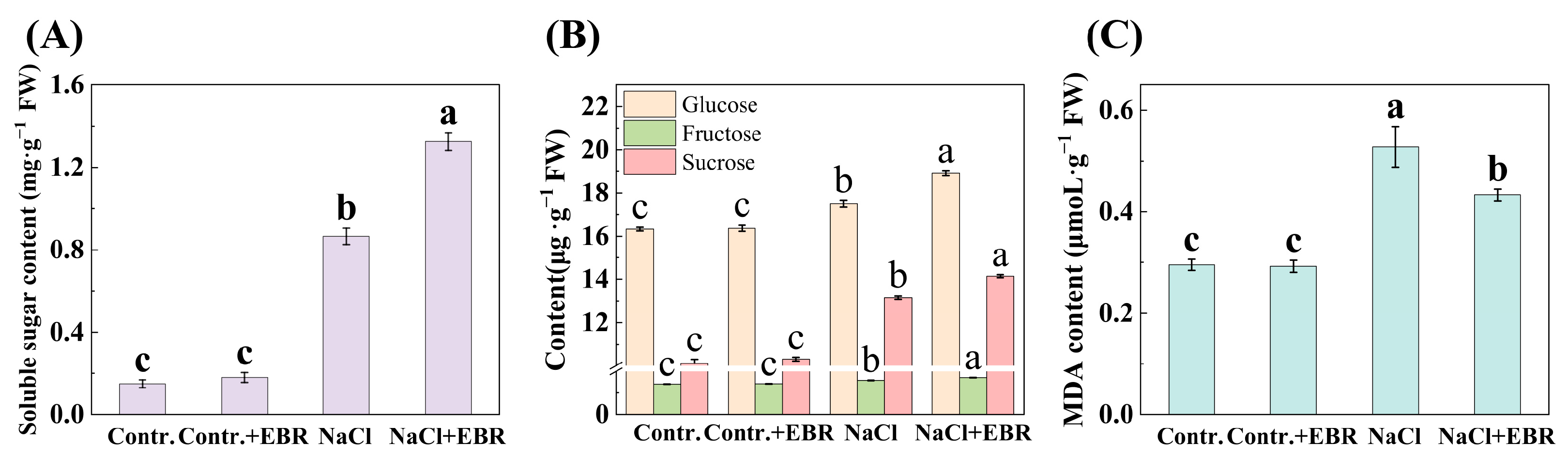 Plants 13 03029 g006