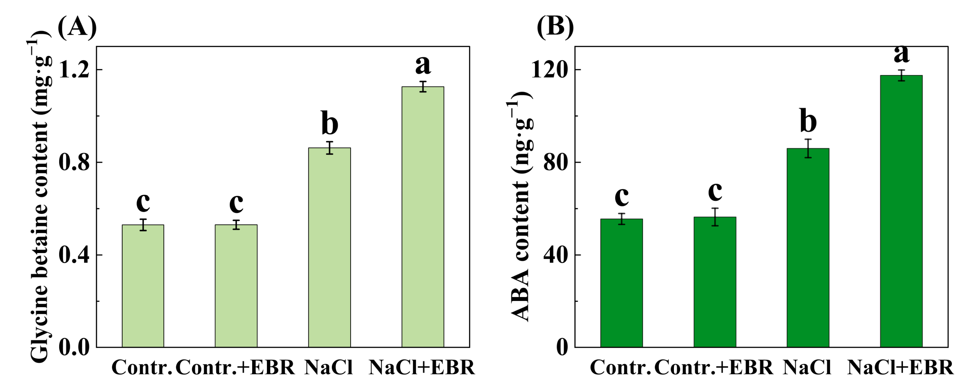 Plants 13 03029 g007