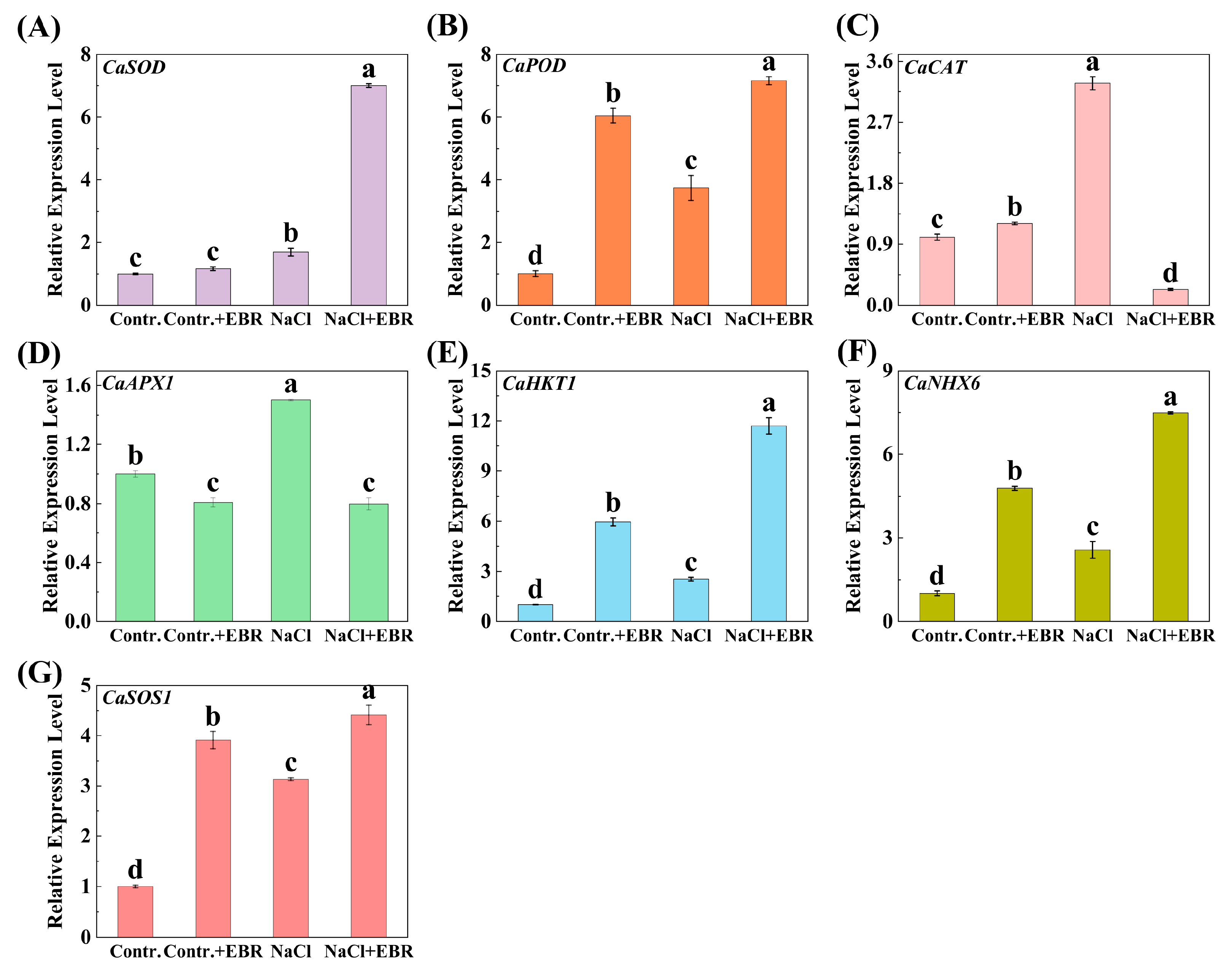 Plants 13 03029 g009