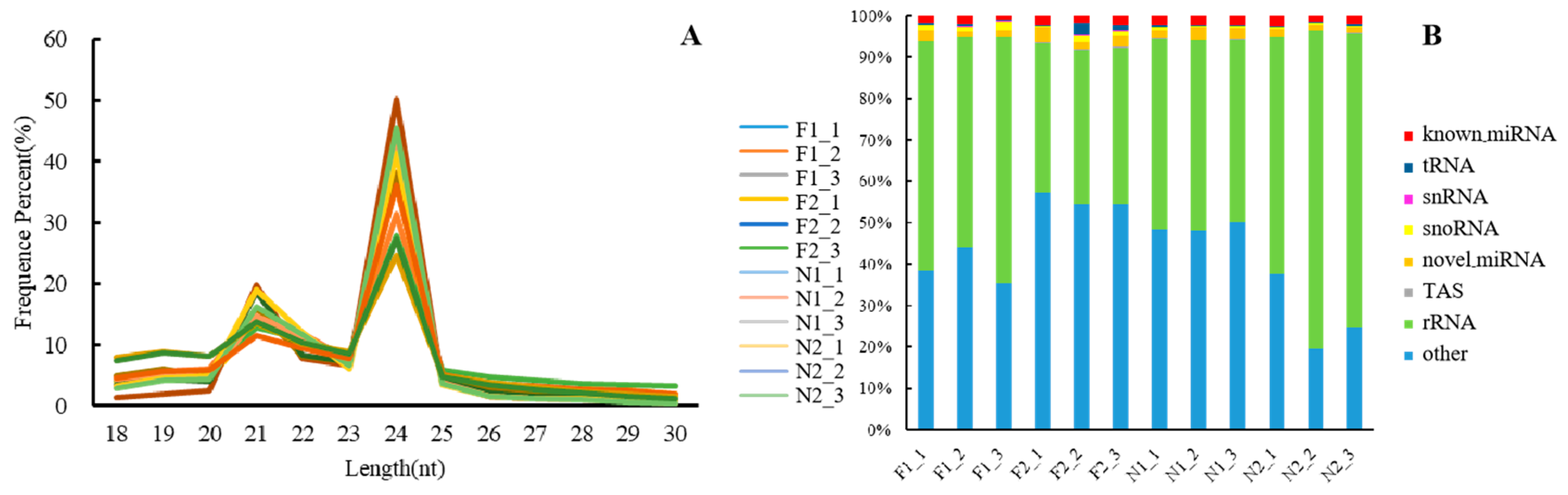 Plants 13 03033 g001