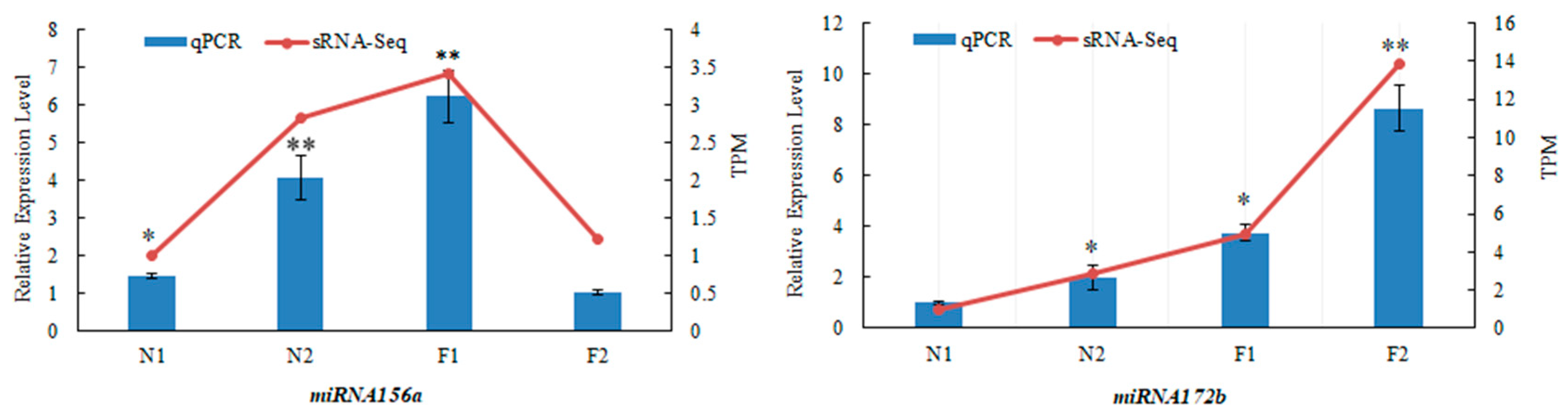 Plants 13 03033 g004