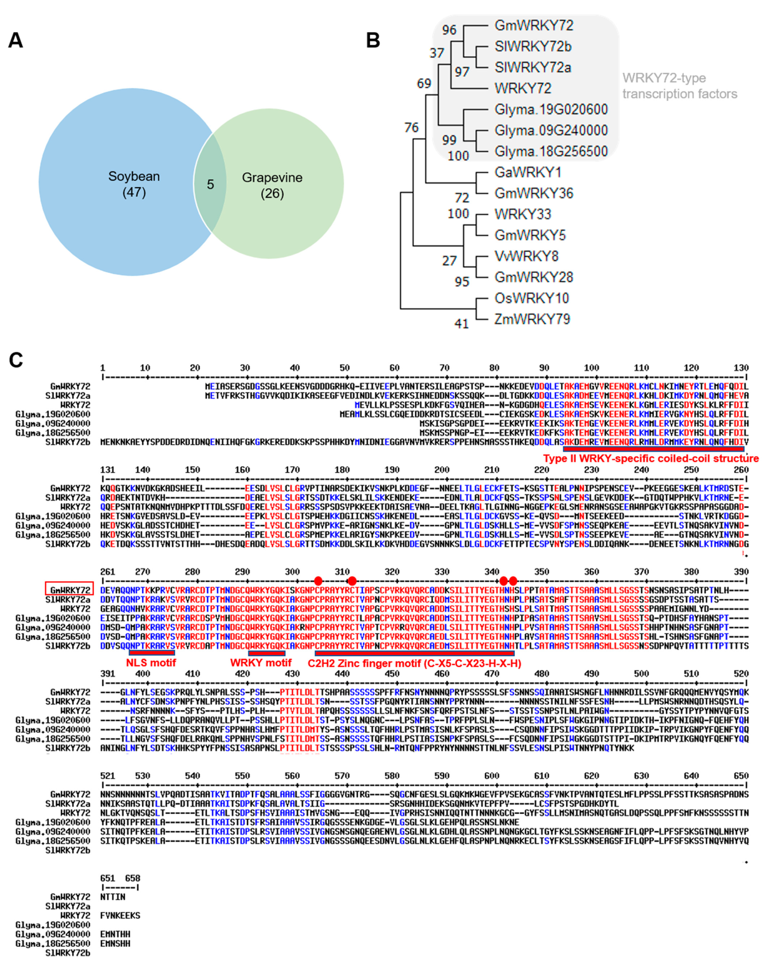 Plants 13 03036 g002