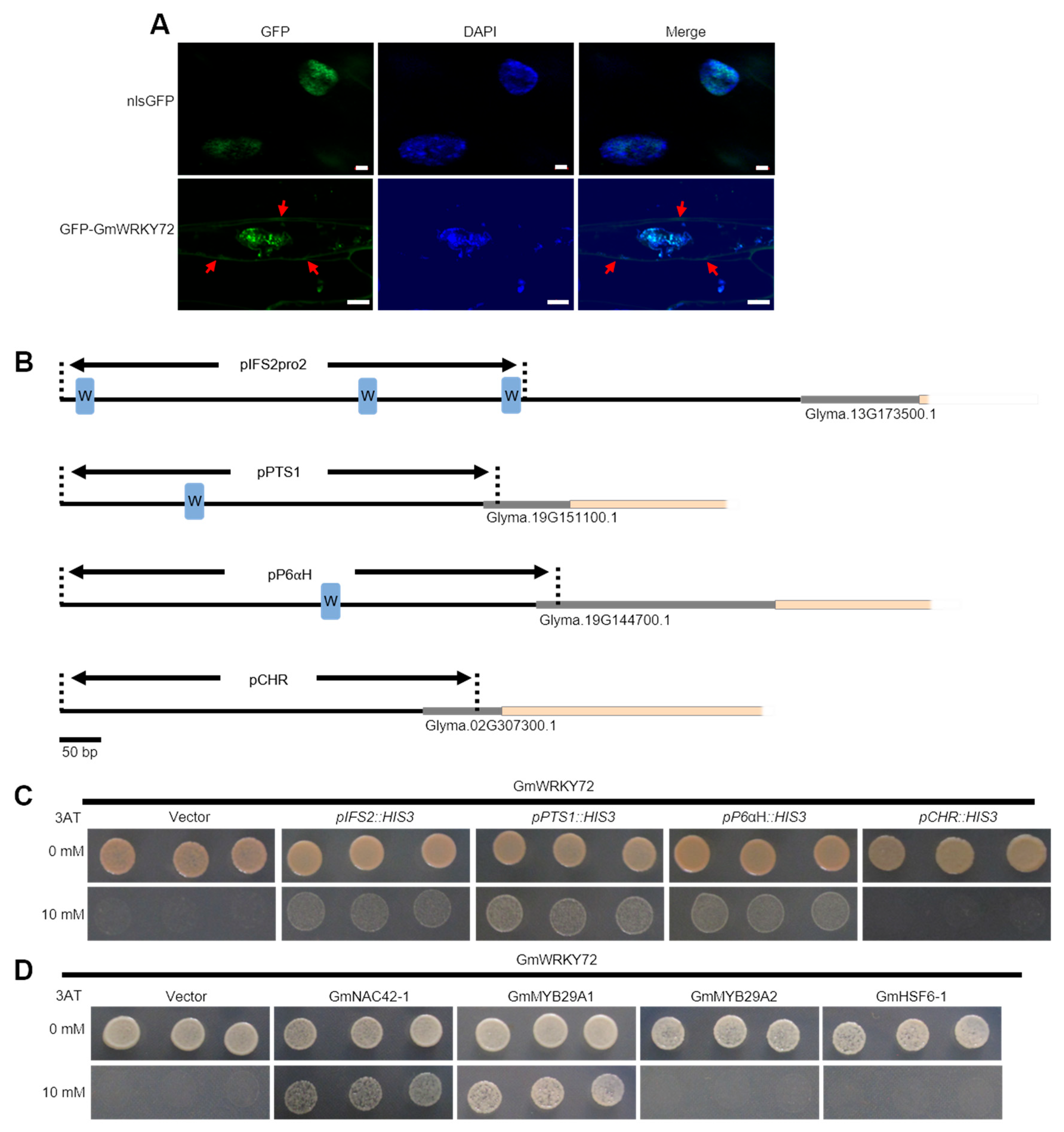 Plants 13 03036 g004