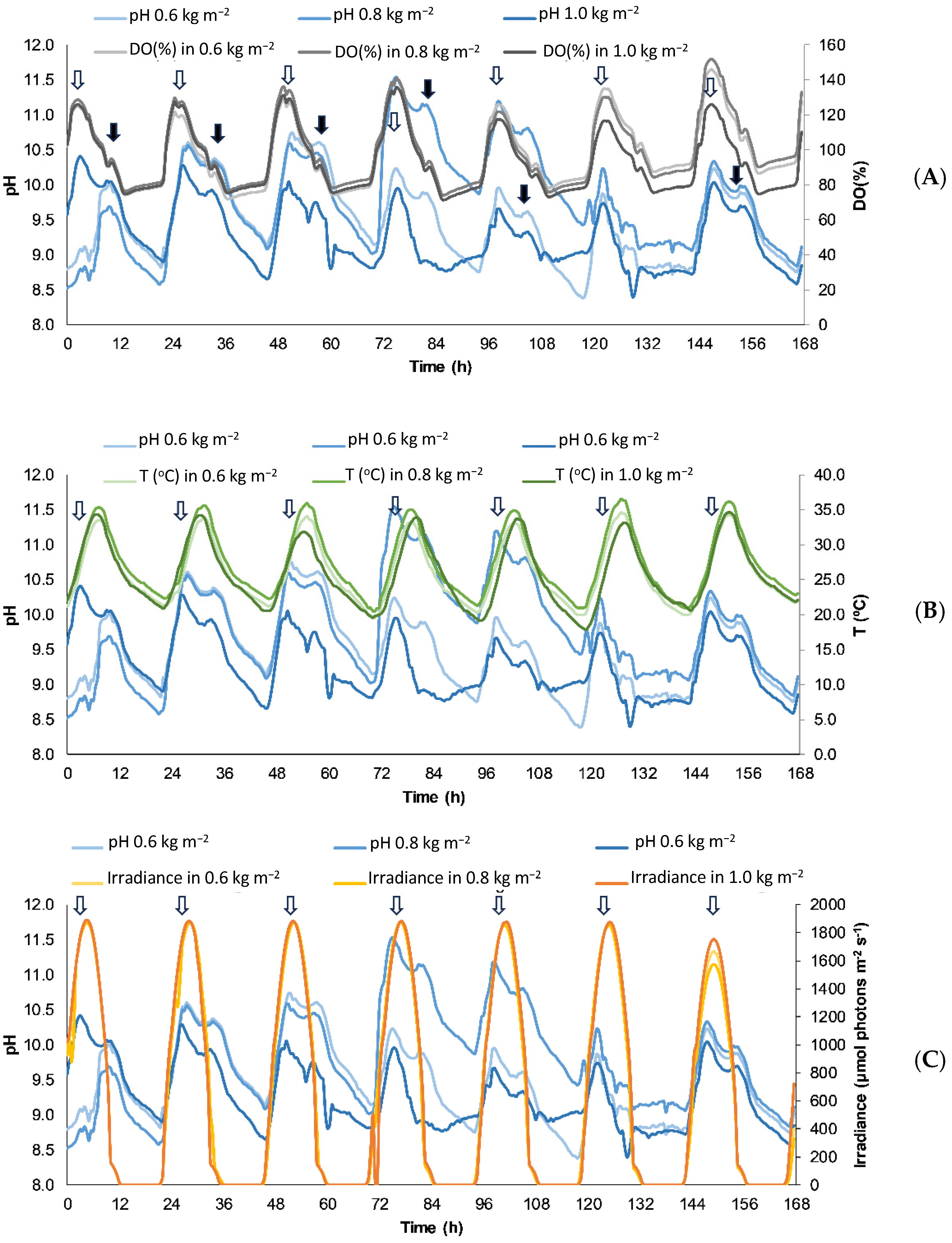 Plants 13 03038 g001