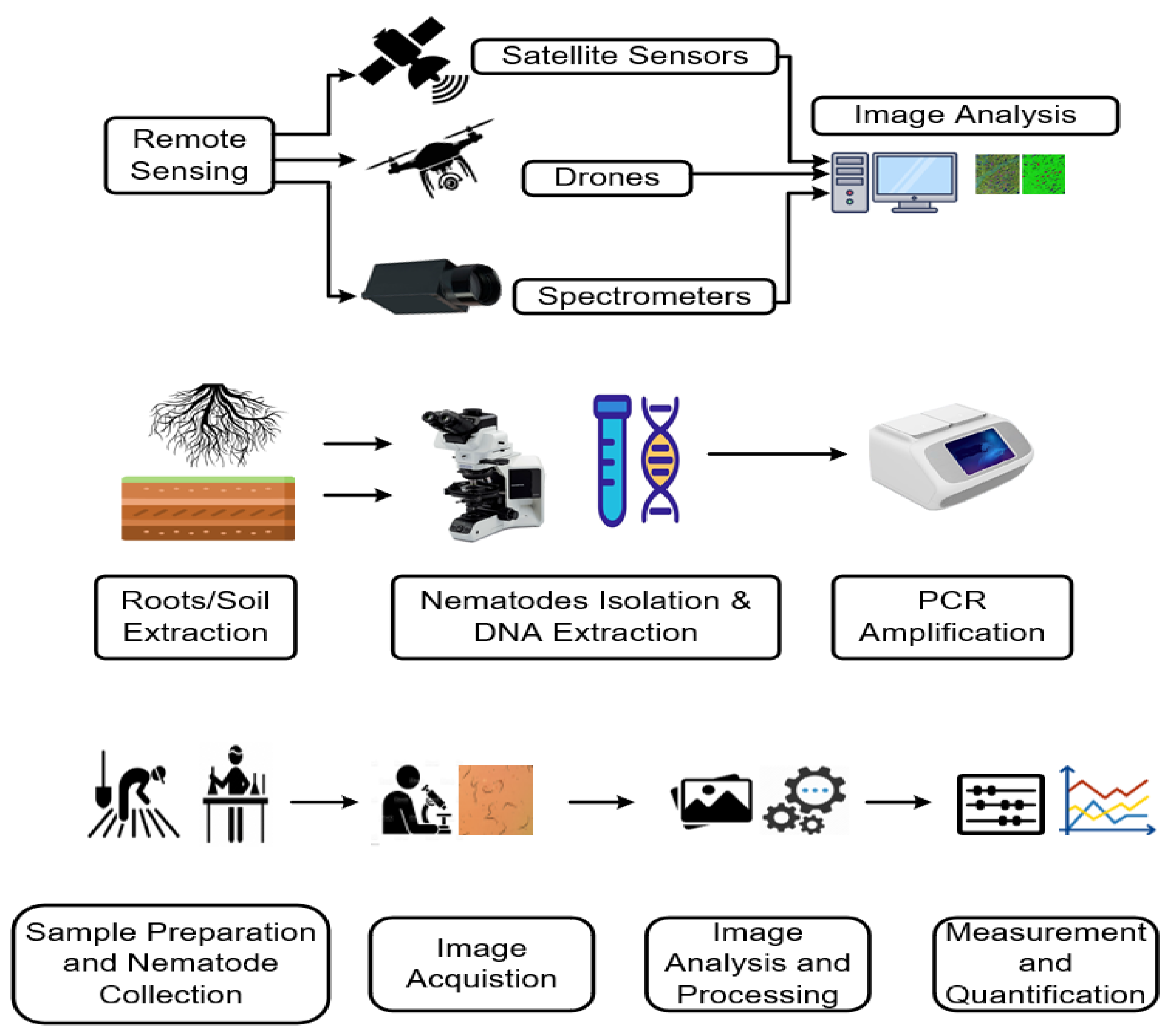 Plants 13 03041 g001 Plants 13 03041 g001