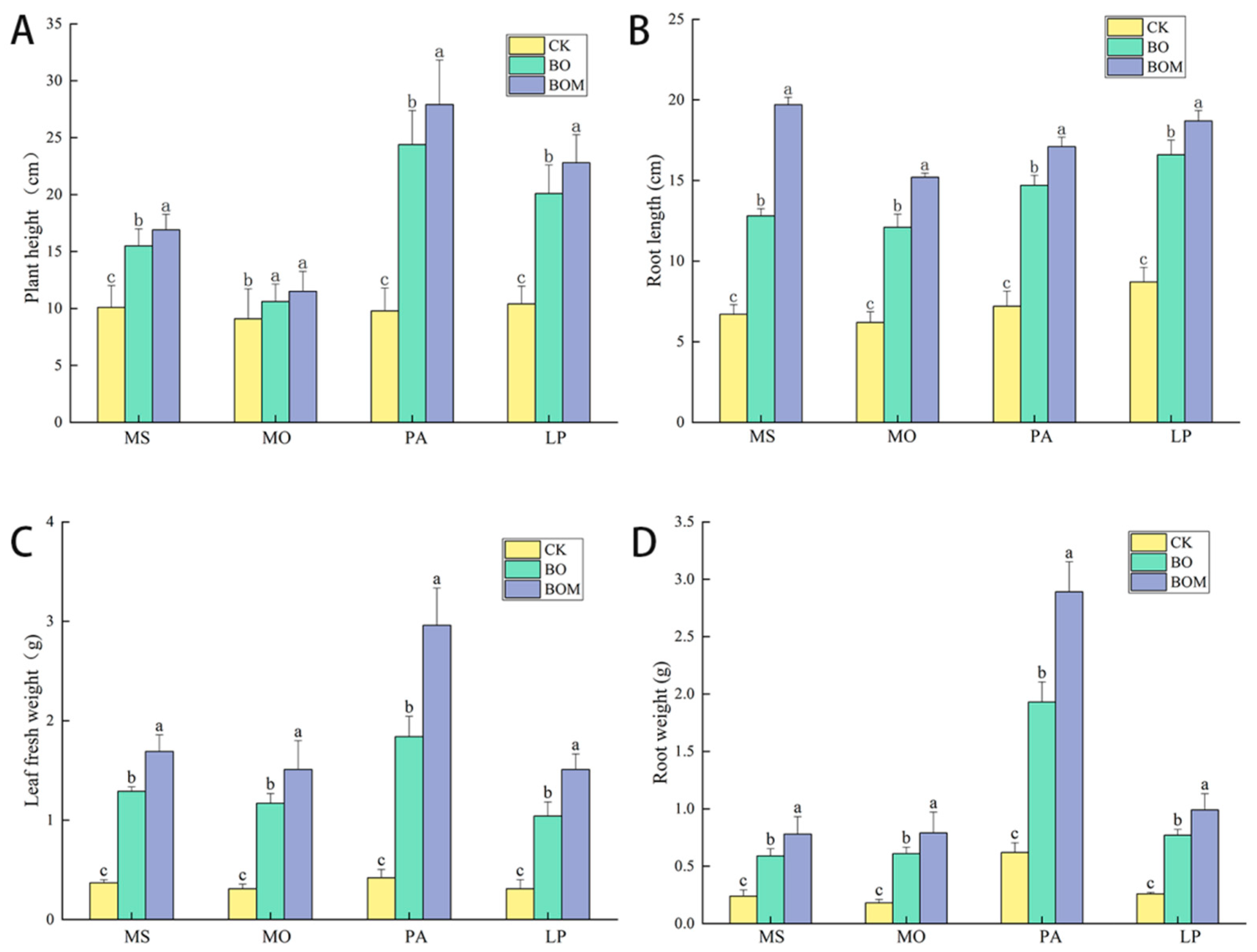Plants 13 03042 g001