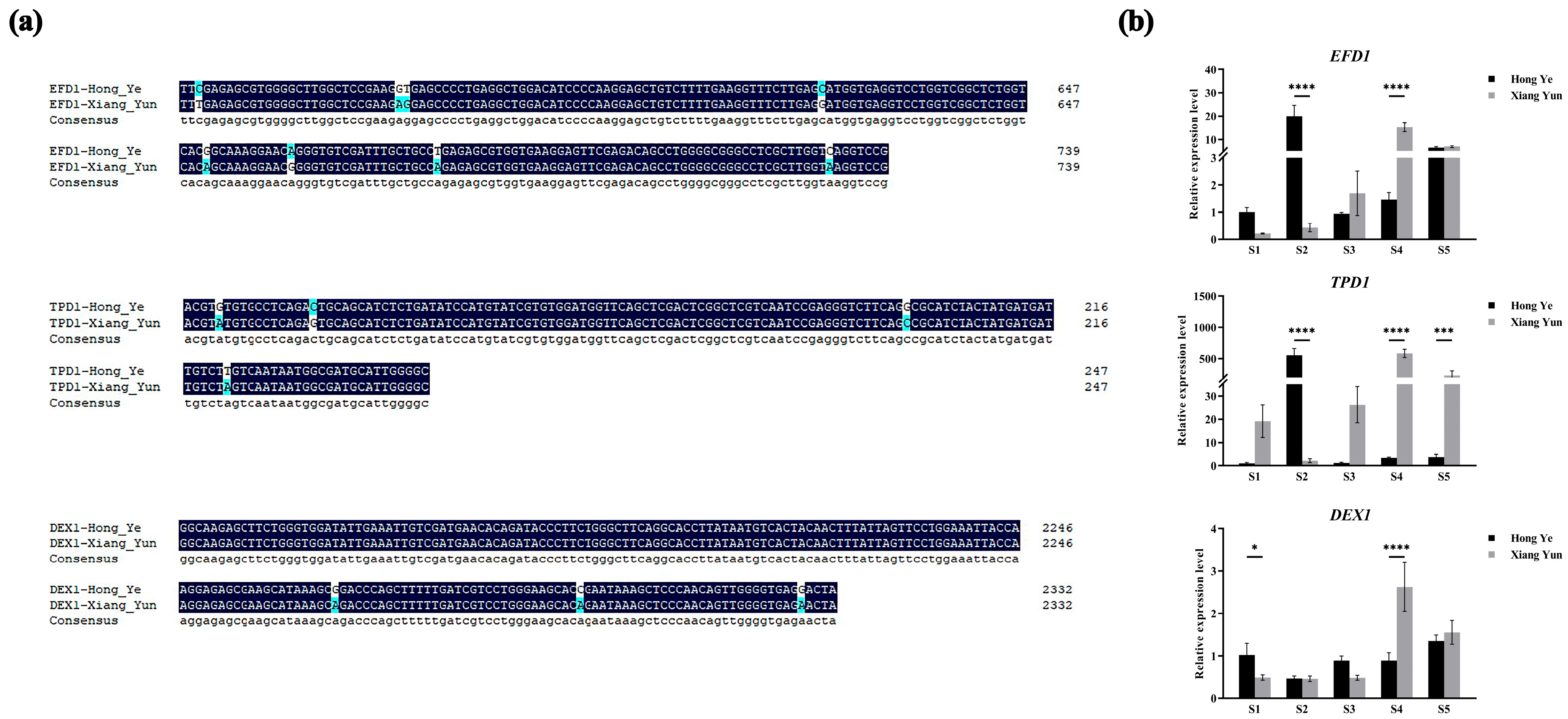 Plants 13 03043 g006