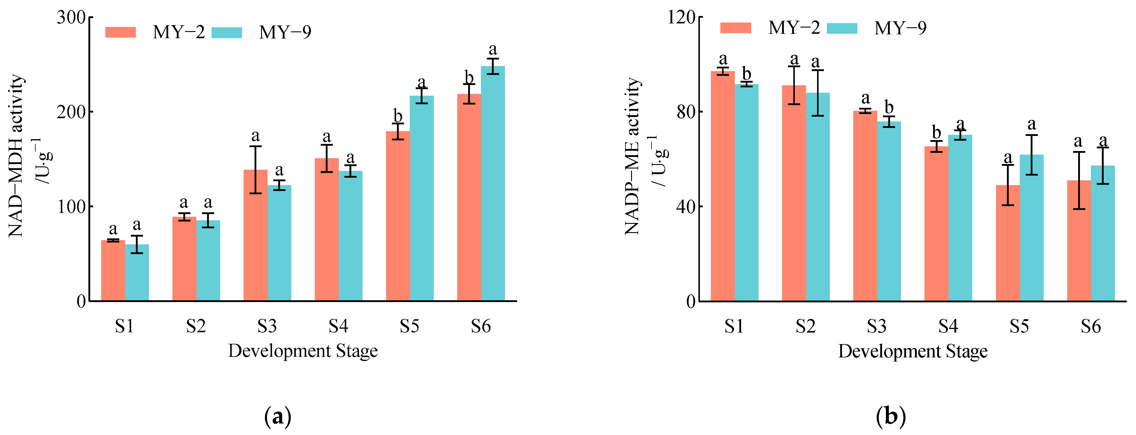 Plants 13 03053 g002