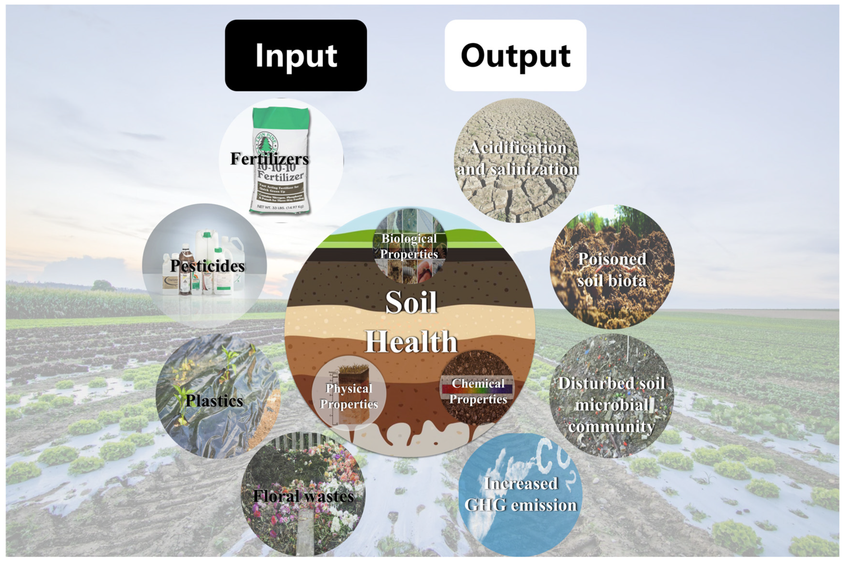 Plants 13 03055 g001