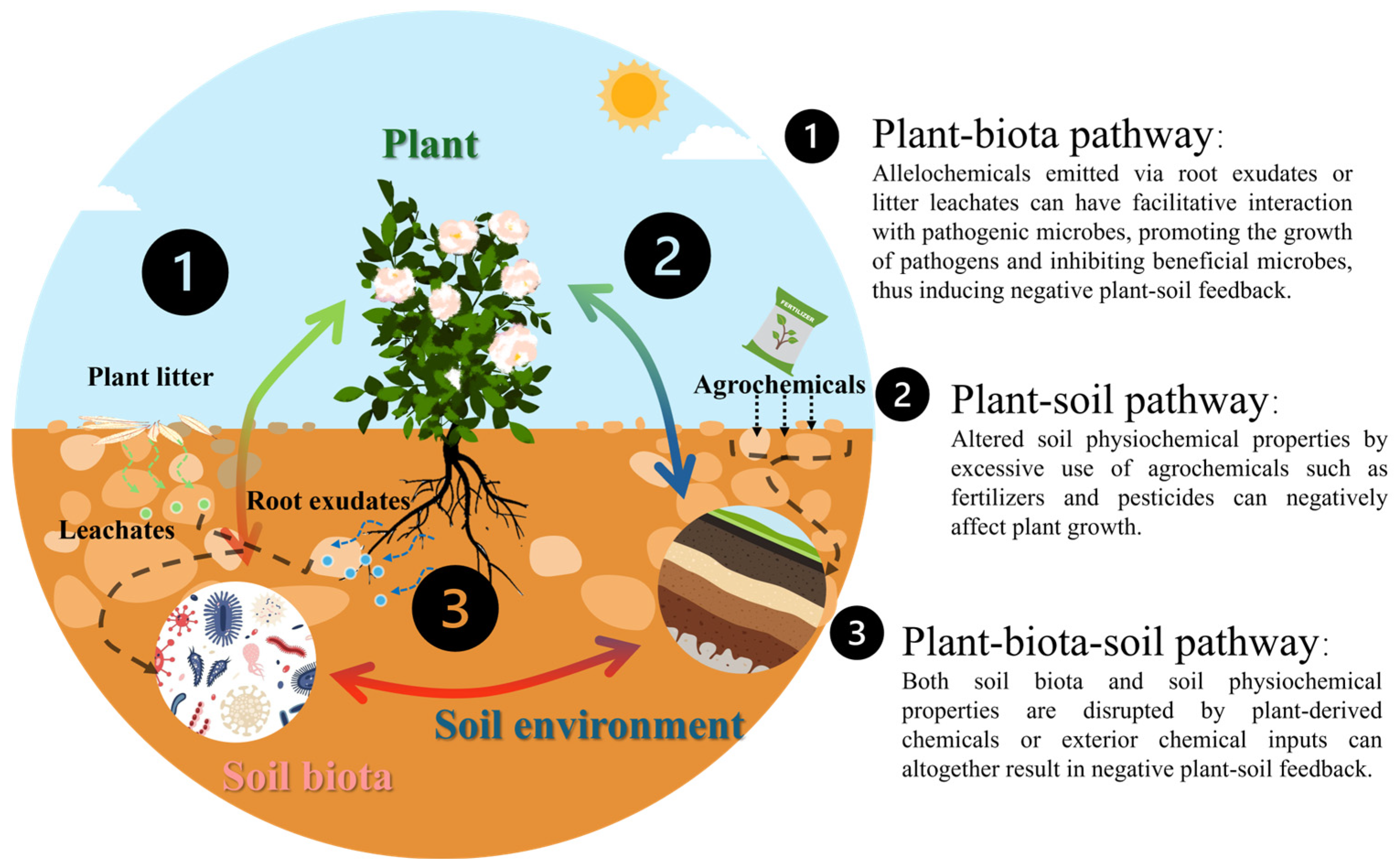 Plants 13 03055 g002