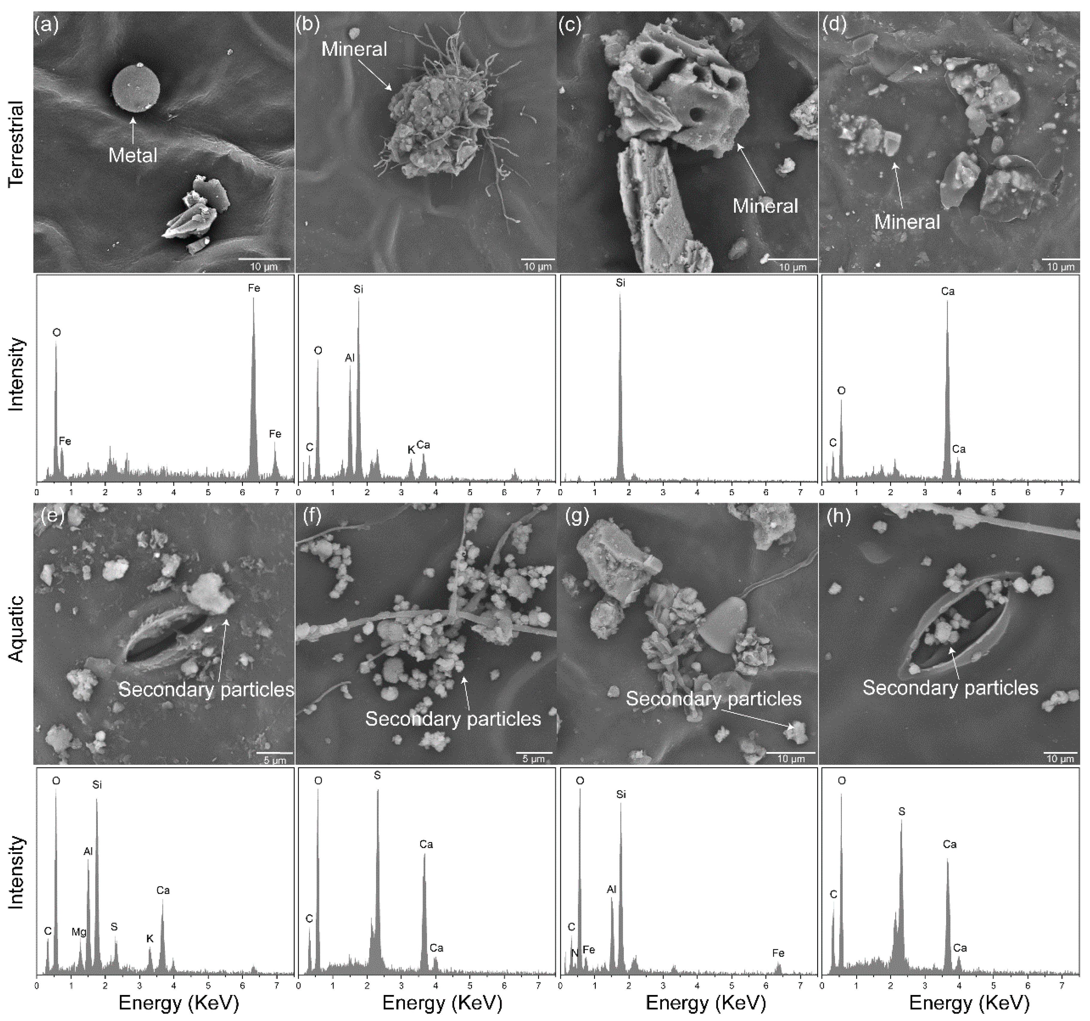 Plants 13 03056 g003