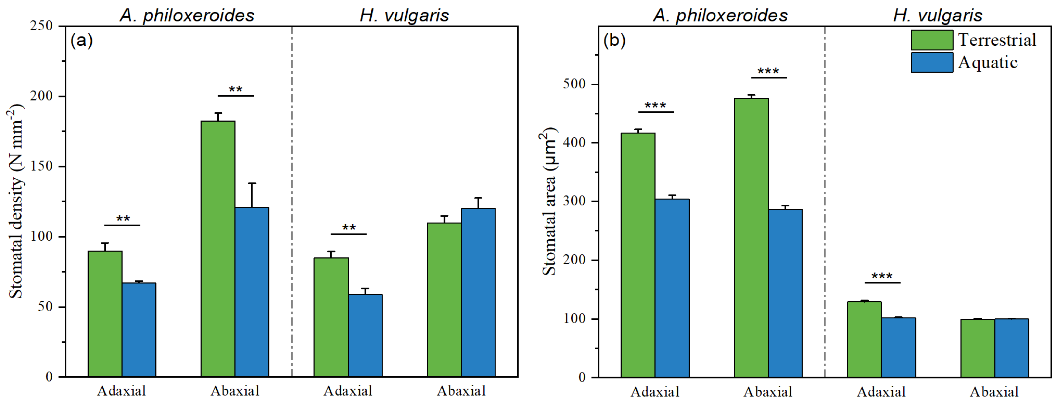 Plants 13 03056 g007