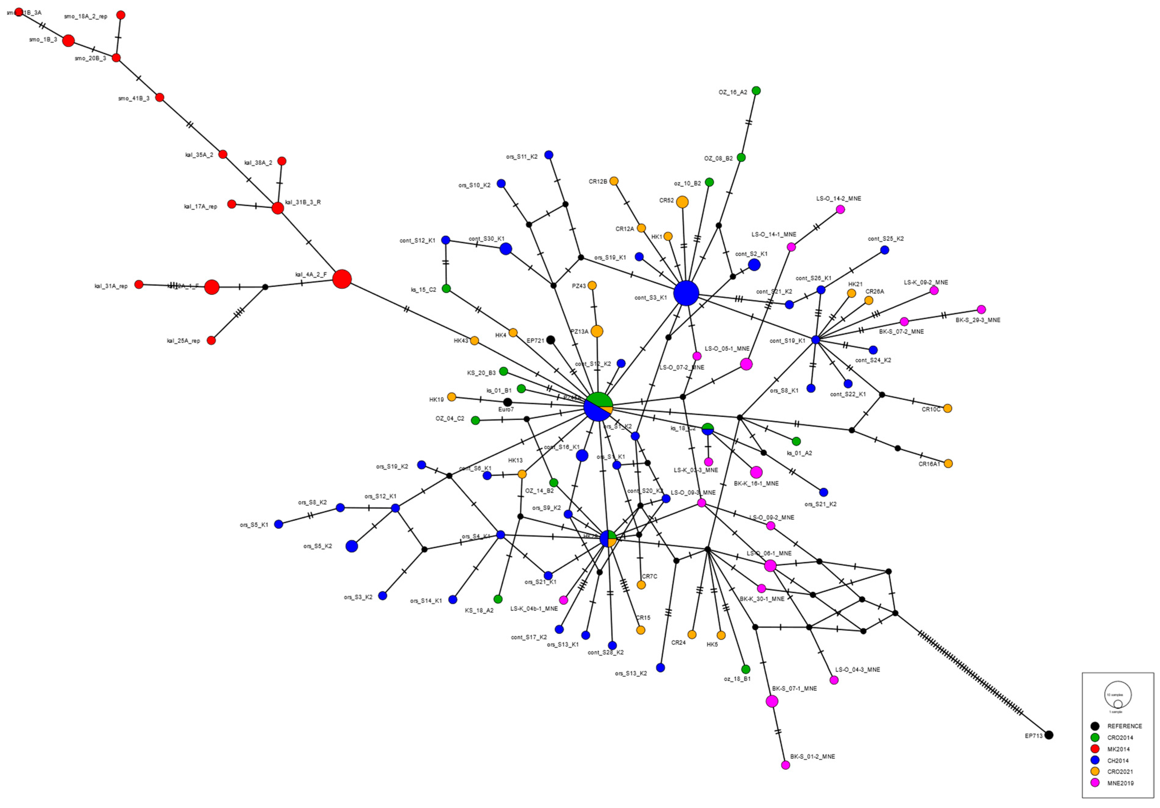 Plants 13 03060 g001