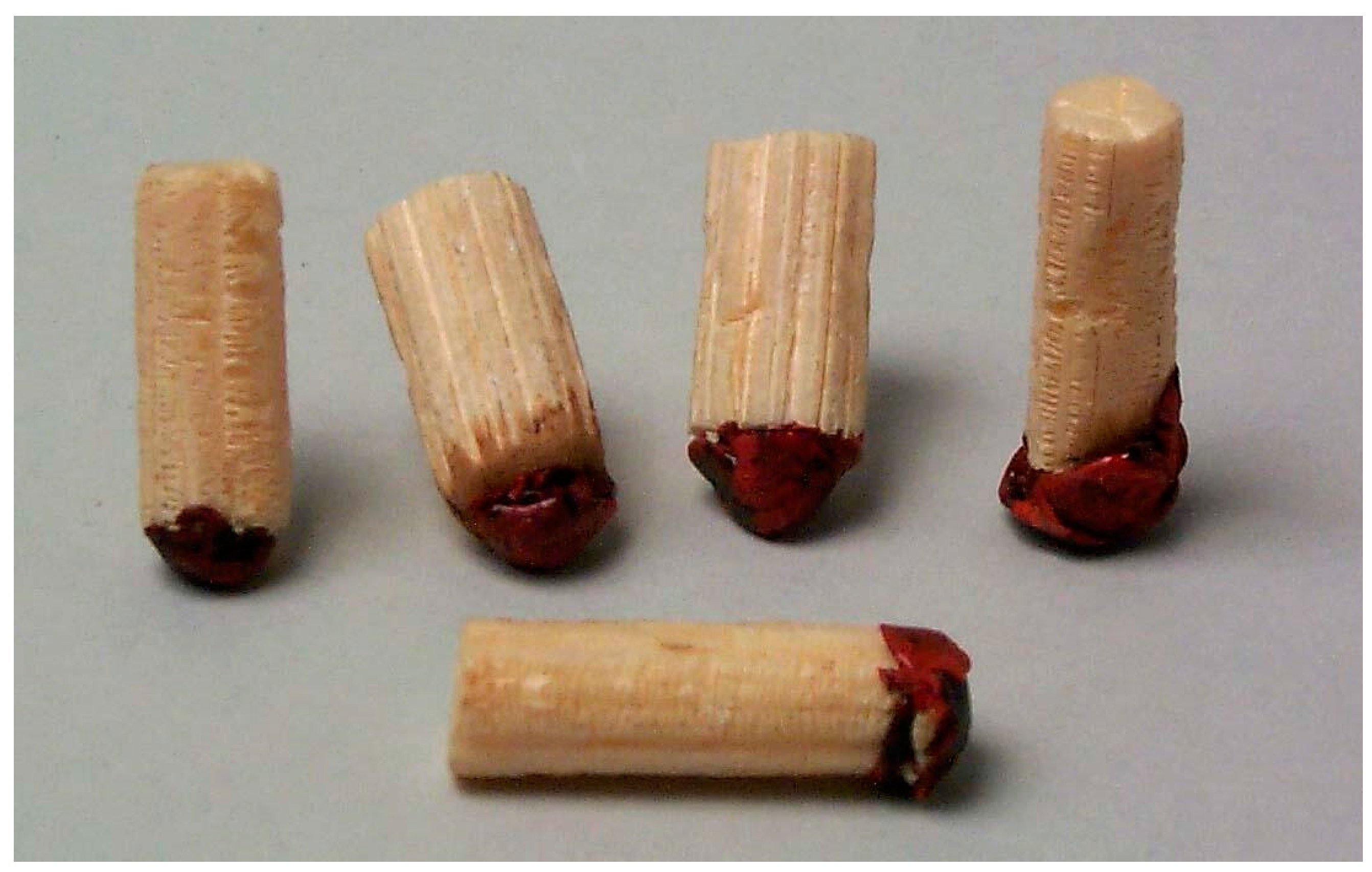 Plants 13 03068 g007