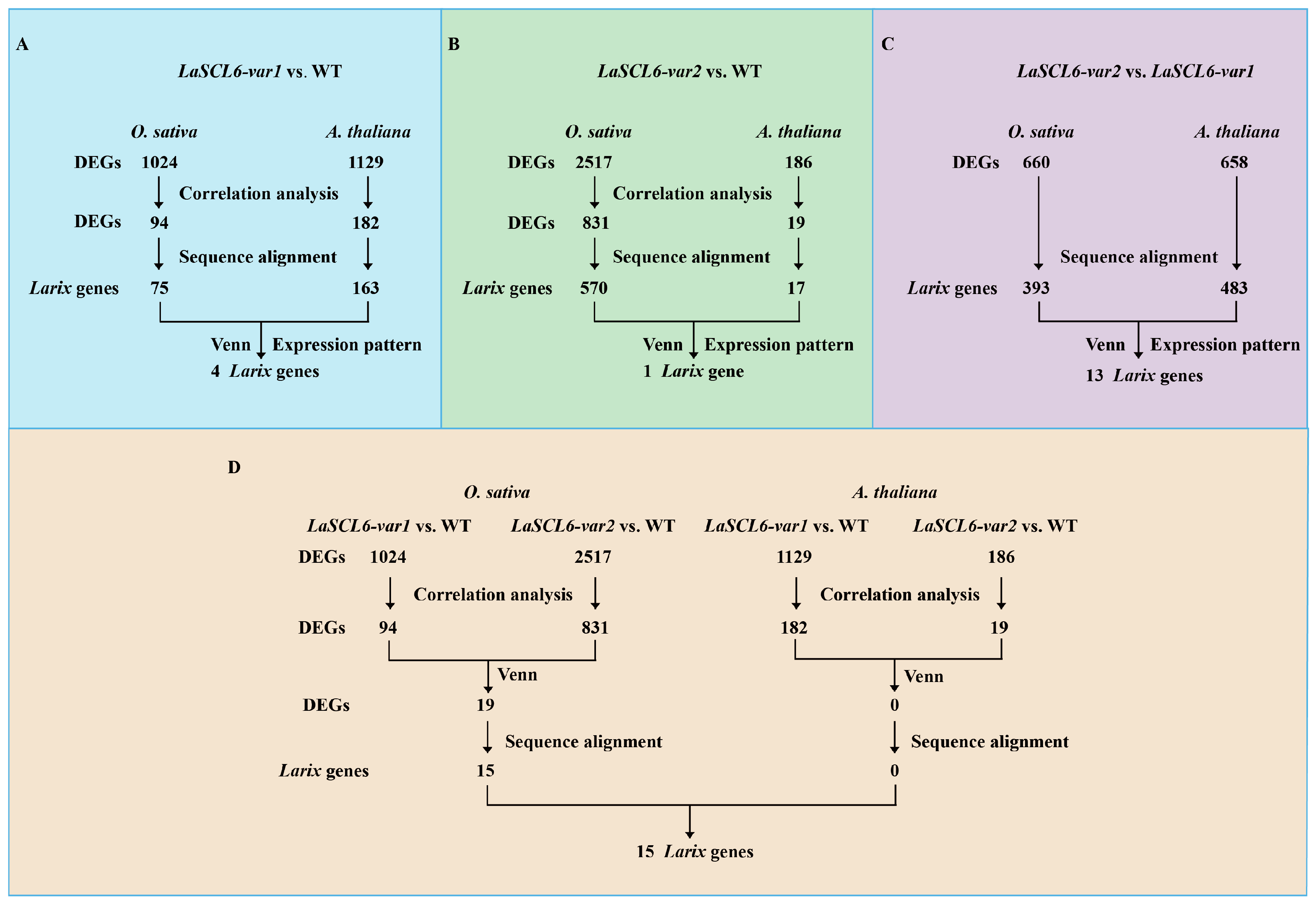Plants 13 03072 g001