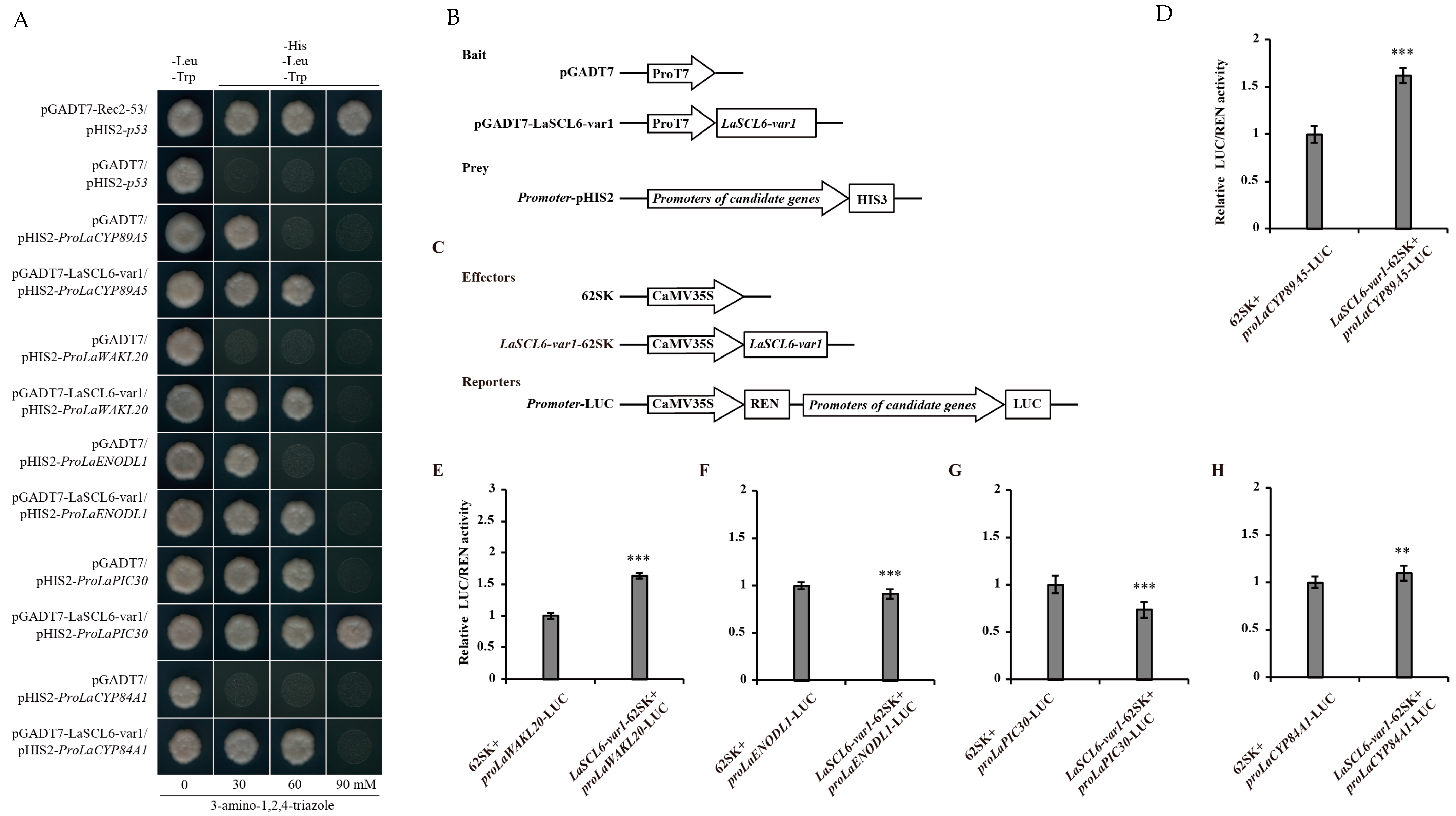 Plants 13 03072 g002