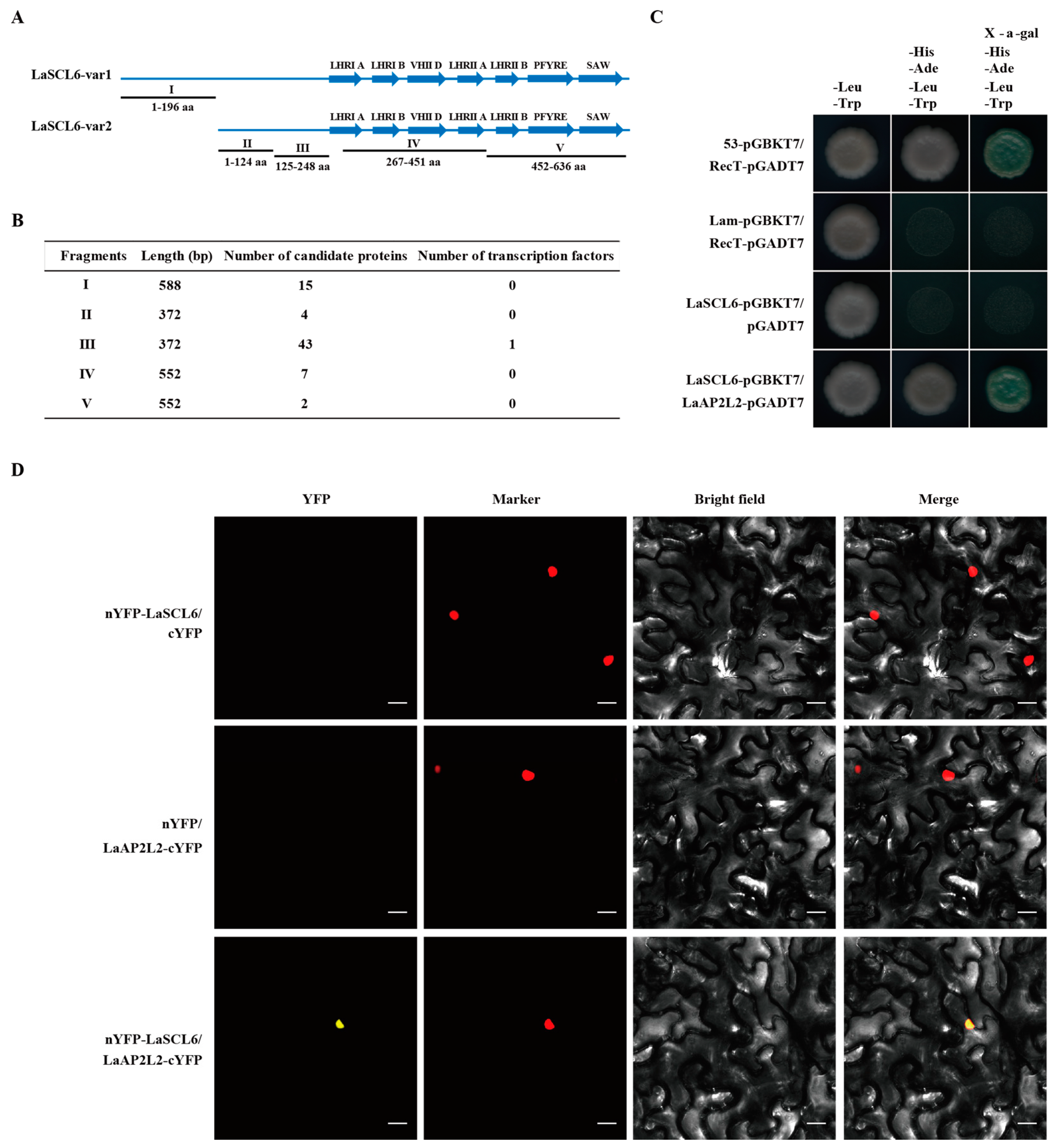 Plants 13 03072 g005