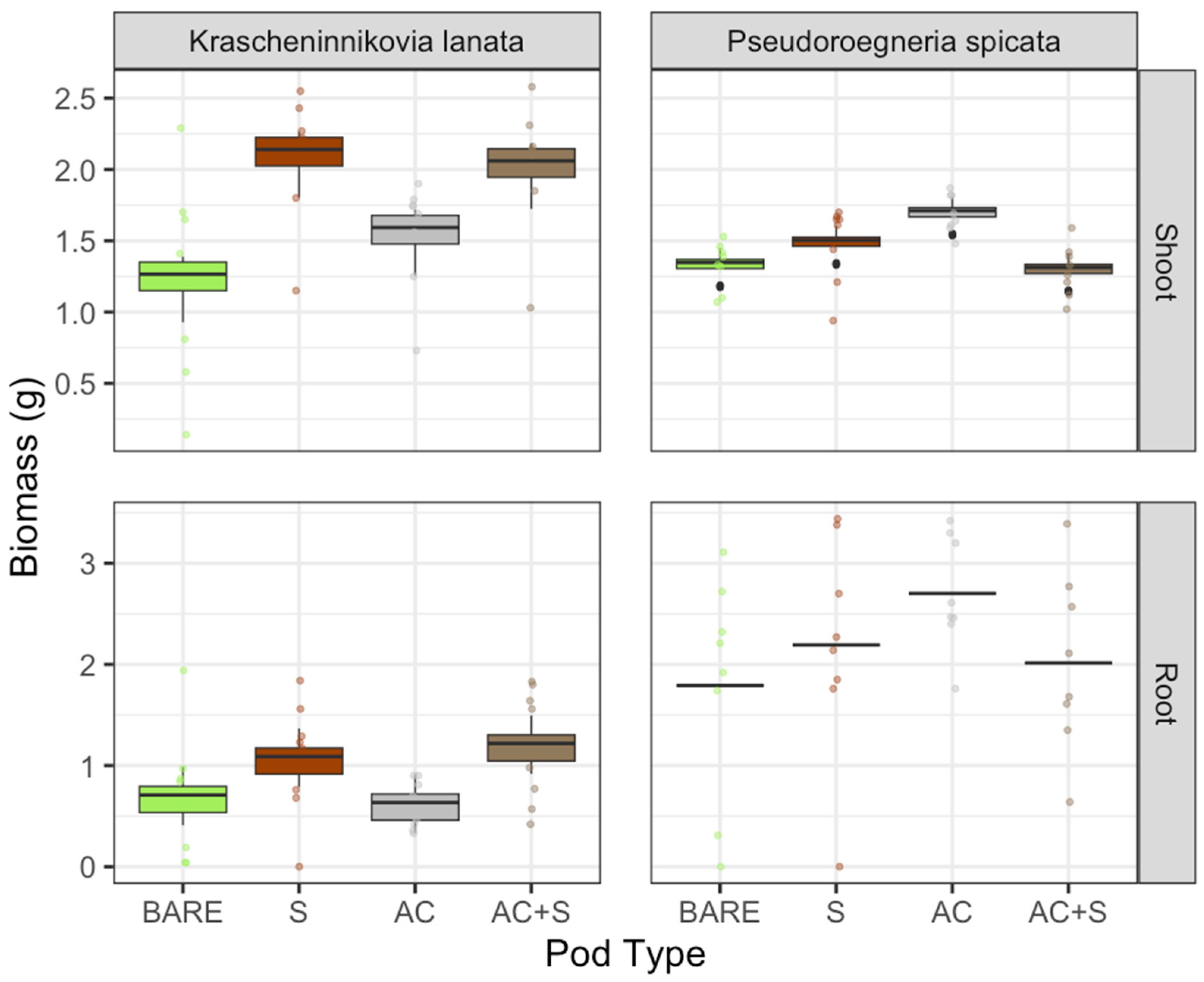 Plants 13 03074 g001