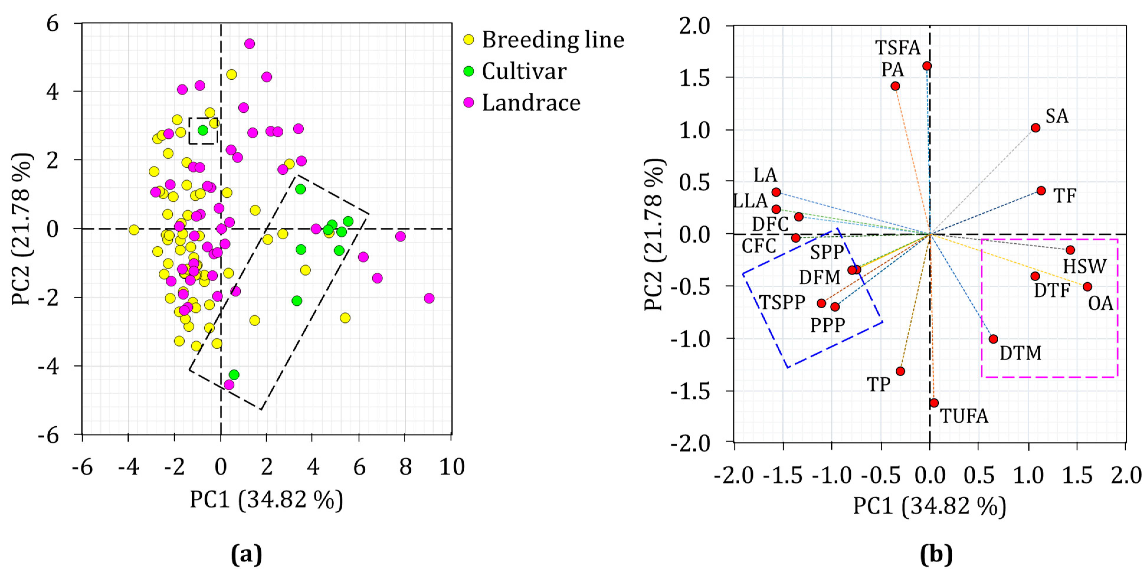 Plants 13 03078 g003