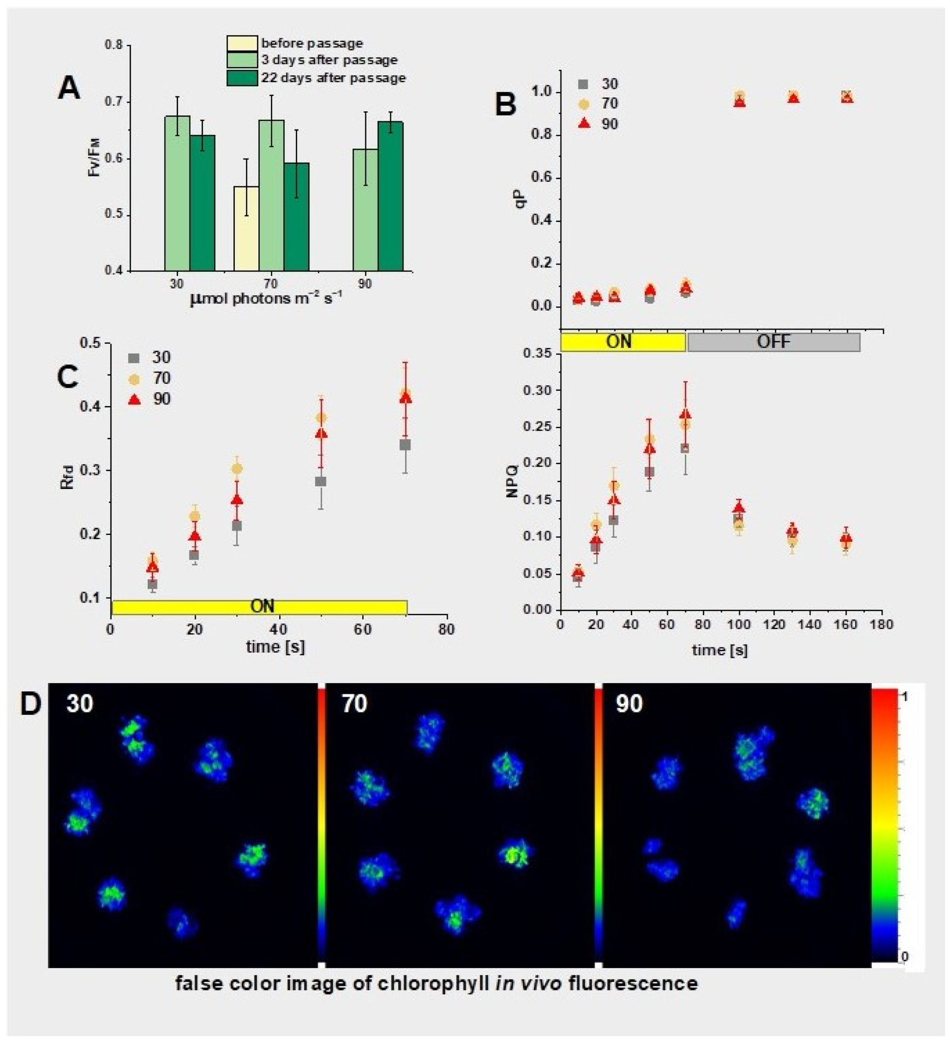 Plants 13 03080 g009