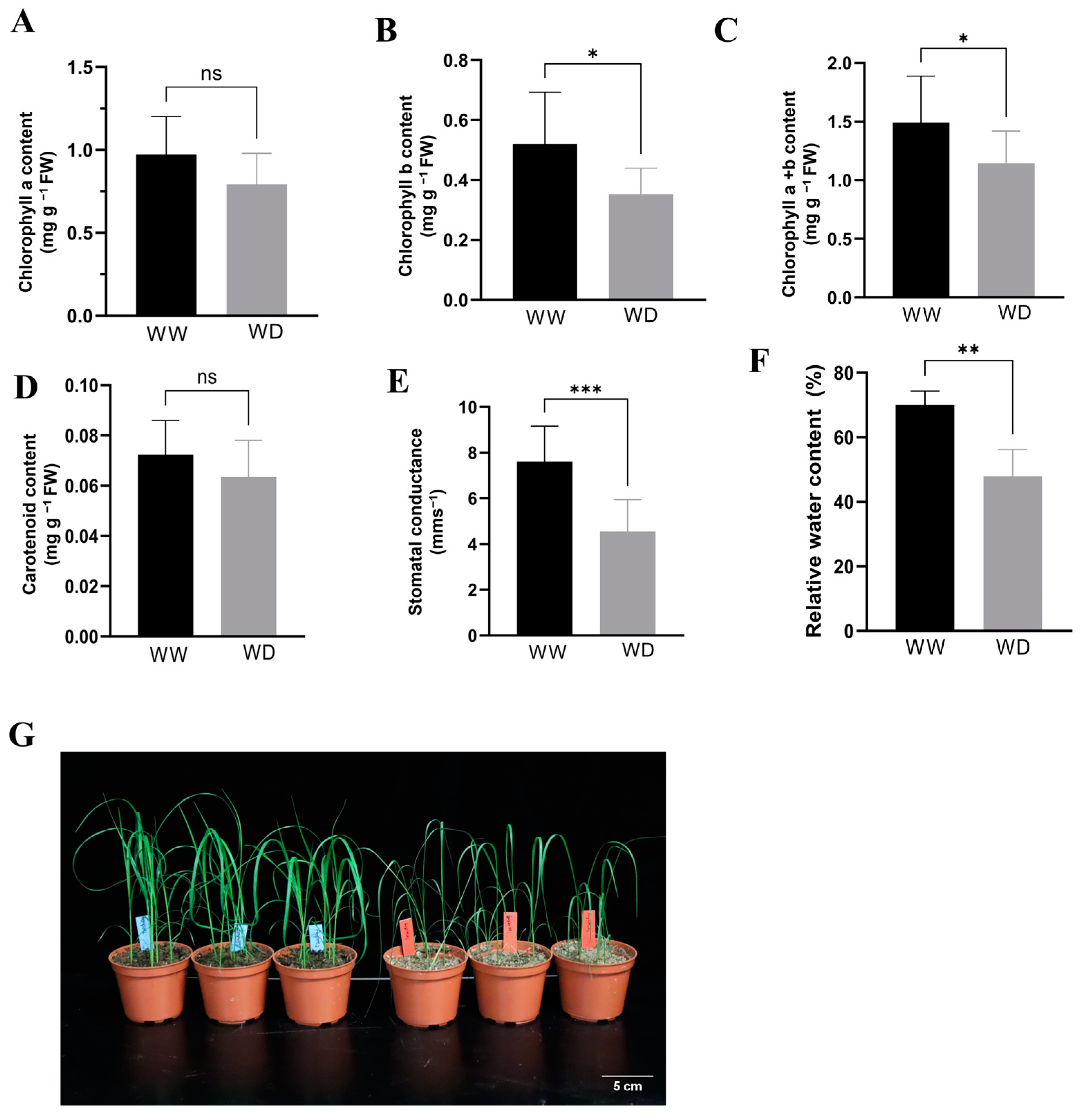 Plants 13 03086 g001