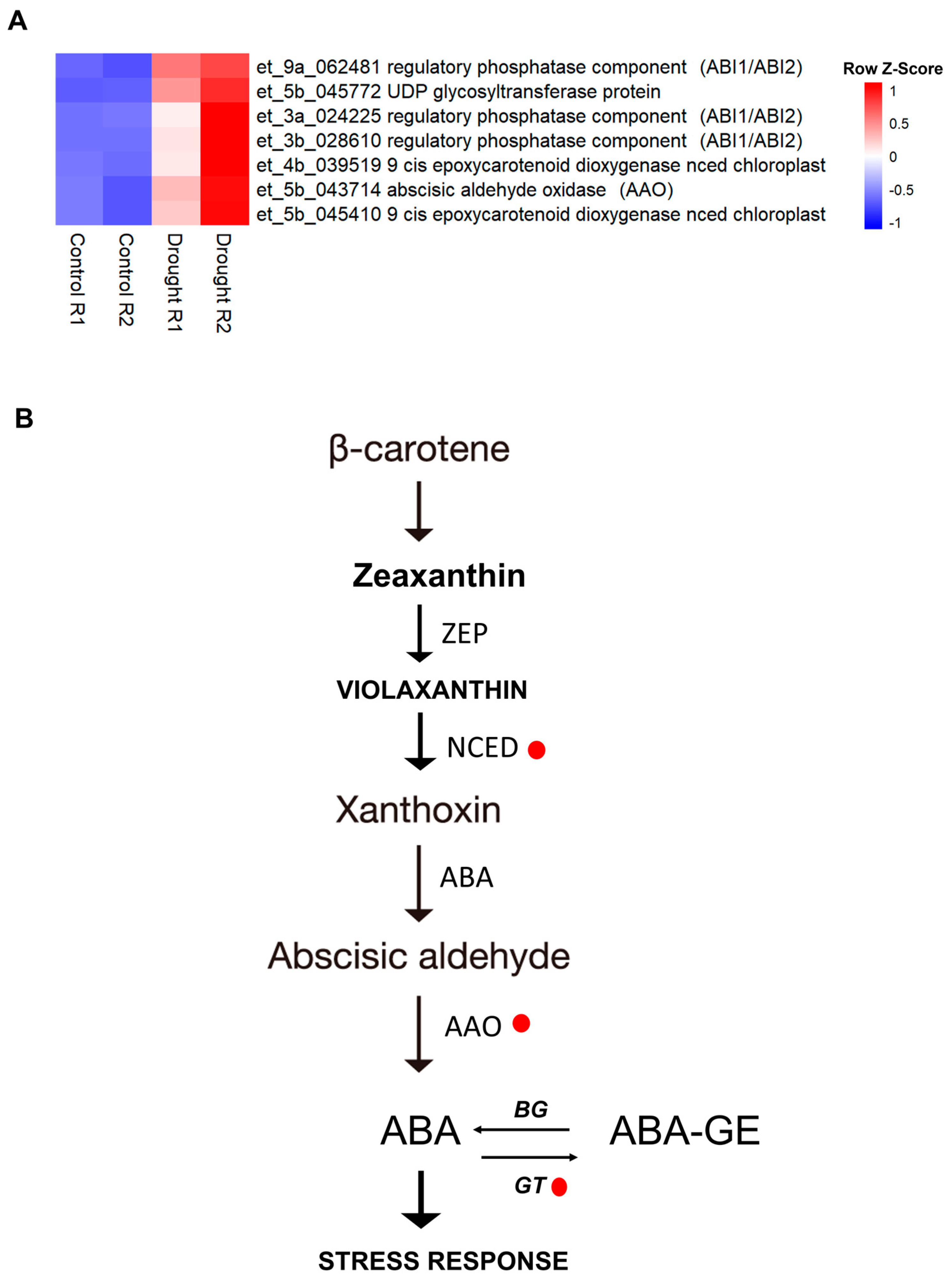 Plants 13 03086 g003